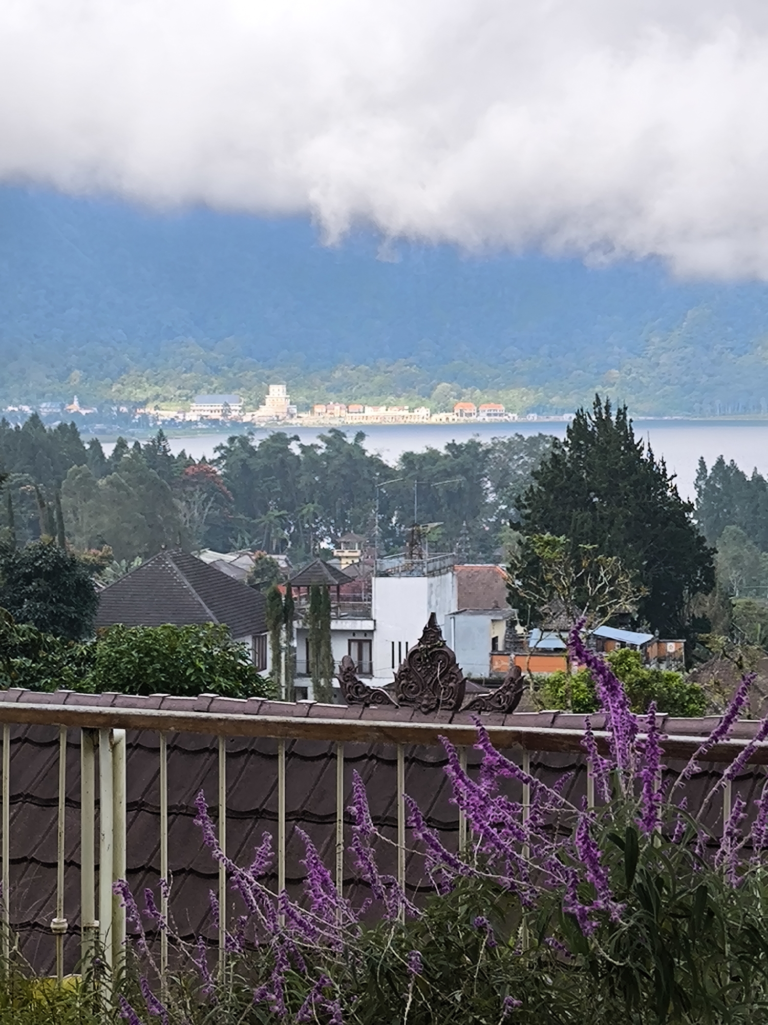 The image shows a scenic view in Candikuning, Indonesia. In the foreground, there's a tiled fence with blooming purple salvia plants in front of it. Beyond the fence, a mix of rooftops, trees, and buildings can be seen. In the background, there's a lake, with a town or village visible on the opposite shore. Further back, mountains are shrouded in clouds.