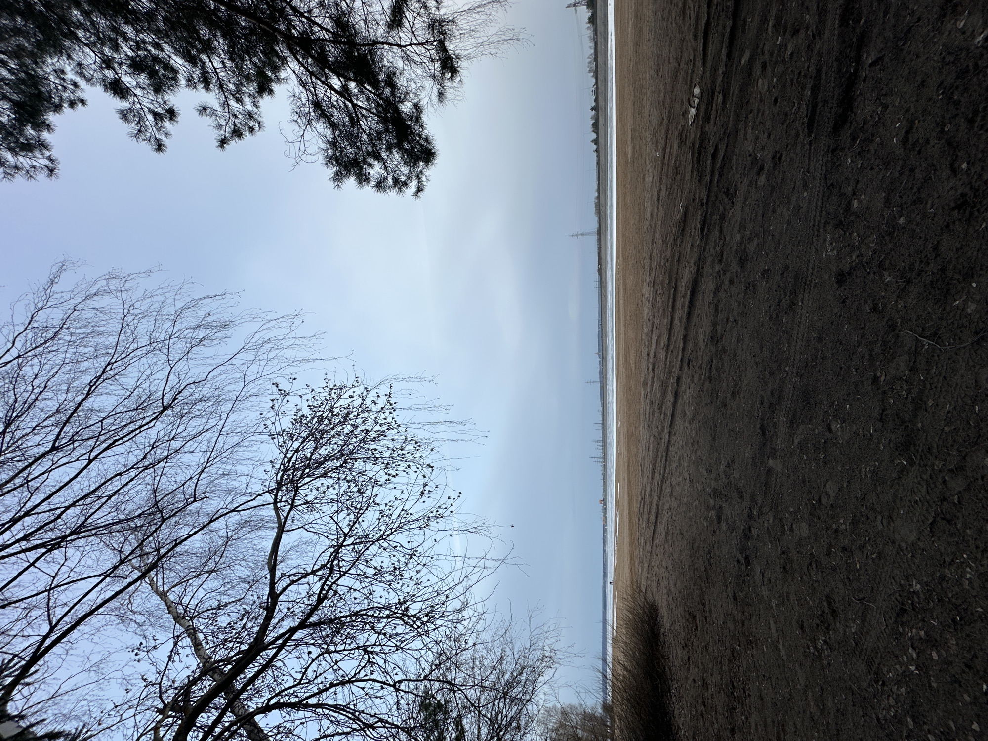 The image presents a split perspective: the left side features an upward view of the sky framed by bare trees in the lower portion and silhouetted tree branches at the top. The right side displays a patch of dark soil with faint track marks. In the distance, between these two elements, lies a body of water with possible ice or snow cover along the far bank and electrical pylons visible along the horizon. Given the location in the city of Noviy, Russia, this might be the edge of a frozen lake or river in a park or at the city's outskirts during winter or early spring. There are no people readily apparent in the image. The environment is dominated by natural elements and winter conditions.