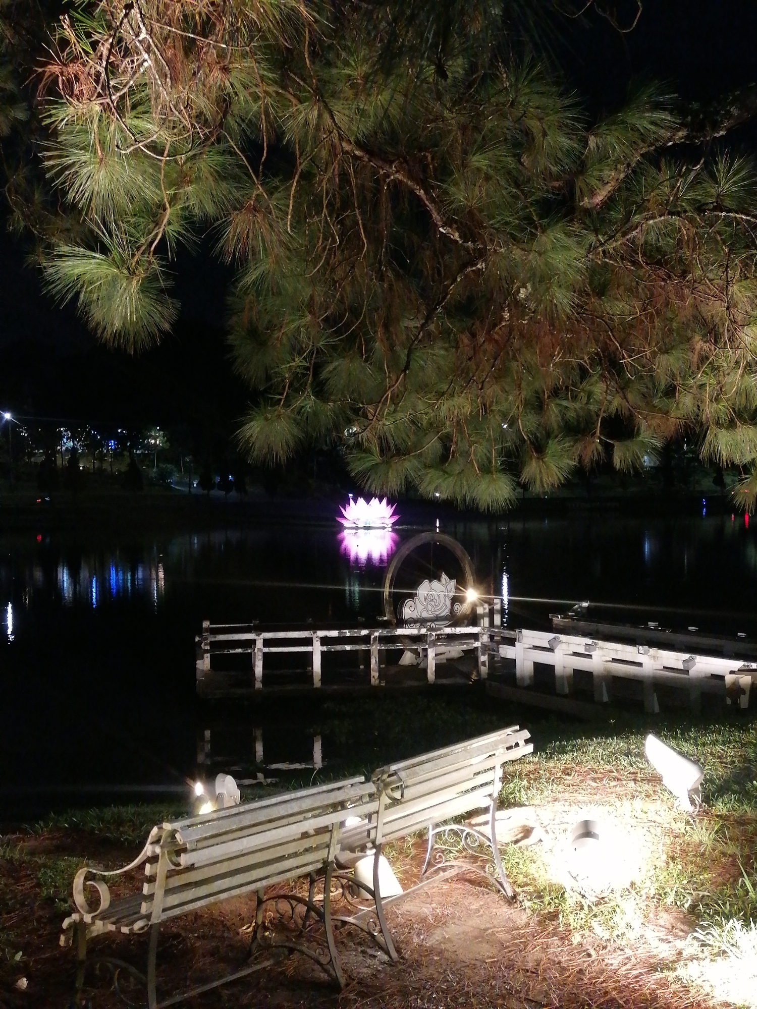 At night, a bench stands on a bank illuminated by ground lights beside a pond in Da Lat, Vietnam. The pond has a short, white bridge structure leading to an illuminated rose-shaped decoration. In the distance is a large, illuminated lotus decoration. Above, pine tree branches overhang the scene. The water reflects light from the surrounding elements.