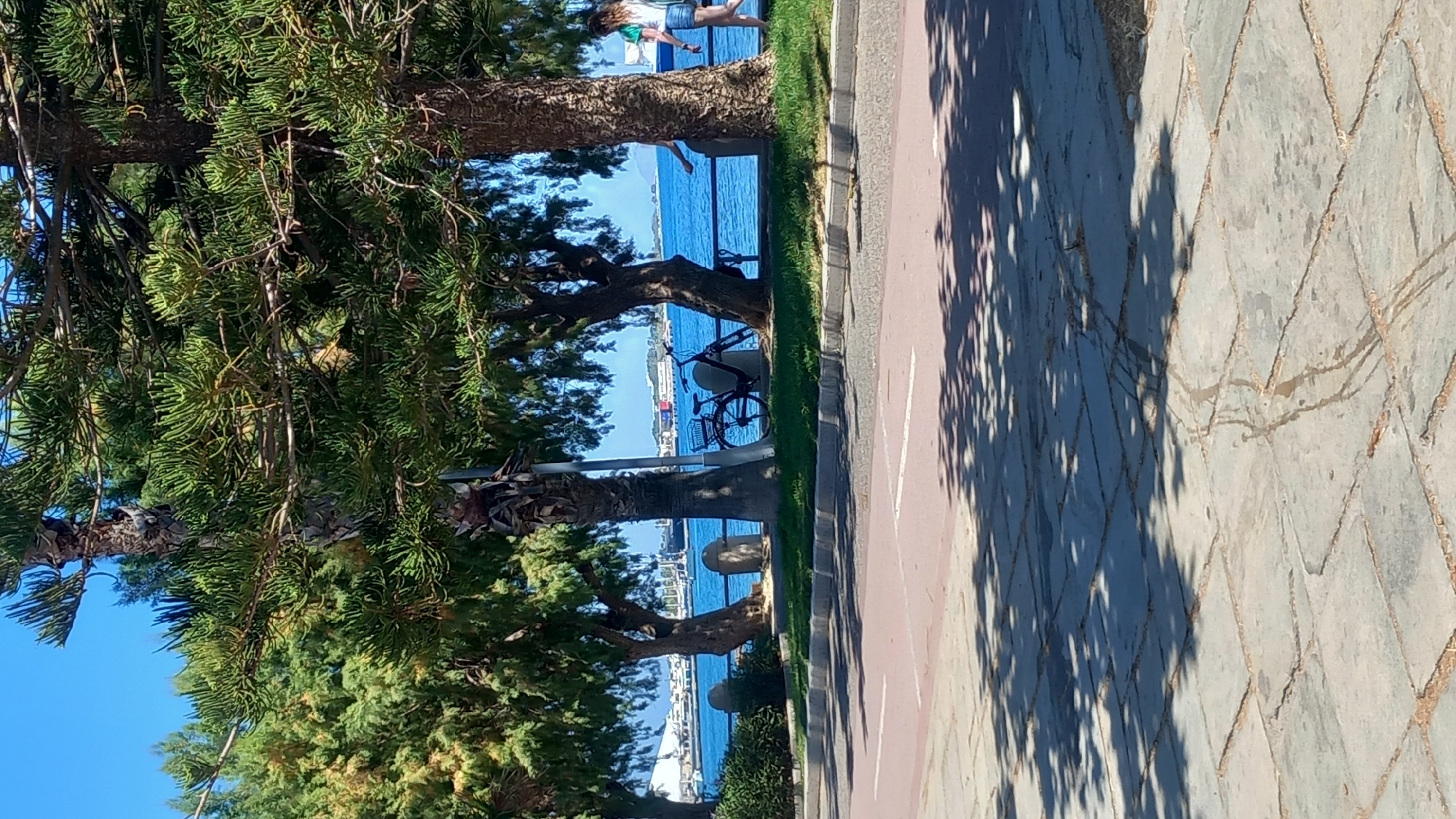 This is a vertical, medium-distance, outdoor shot of a tree-lined waterfront promenade in Kos, Greece. In the foreground, a paved sidewalk shows the dappled shadow of leaves from the trees overhead. Beyond the sidewalk is a strip of grass and then a concrete wall with decorative stone pillars. Several trees, including palm trees and conifers, are visible, with their branches and foliage casting shadows.
In the middle ground, a bicycle with a basket is parked. The clear blue water of the sea stretches out behind the trees. On the water, a large white boat or ship is visible in the distance, along with what appears to be part of a harbor or marina.
In the right middle ground, two people are walking. One person, a woman, is wearing a white top and blue shorts and is walking away from the camera. The other person, a man, is wearing a blue shirt and is walking towards the camera, with his hand near a railing. The sky is a bright, cloudless blue. The overall impression is a sunny day at a scenic coastal location.