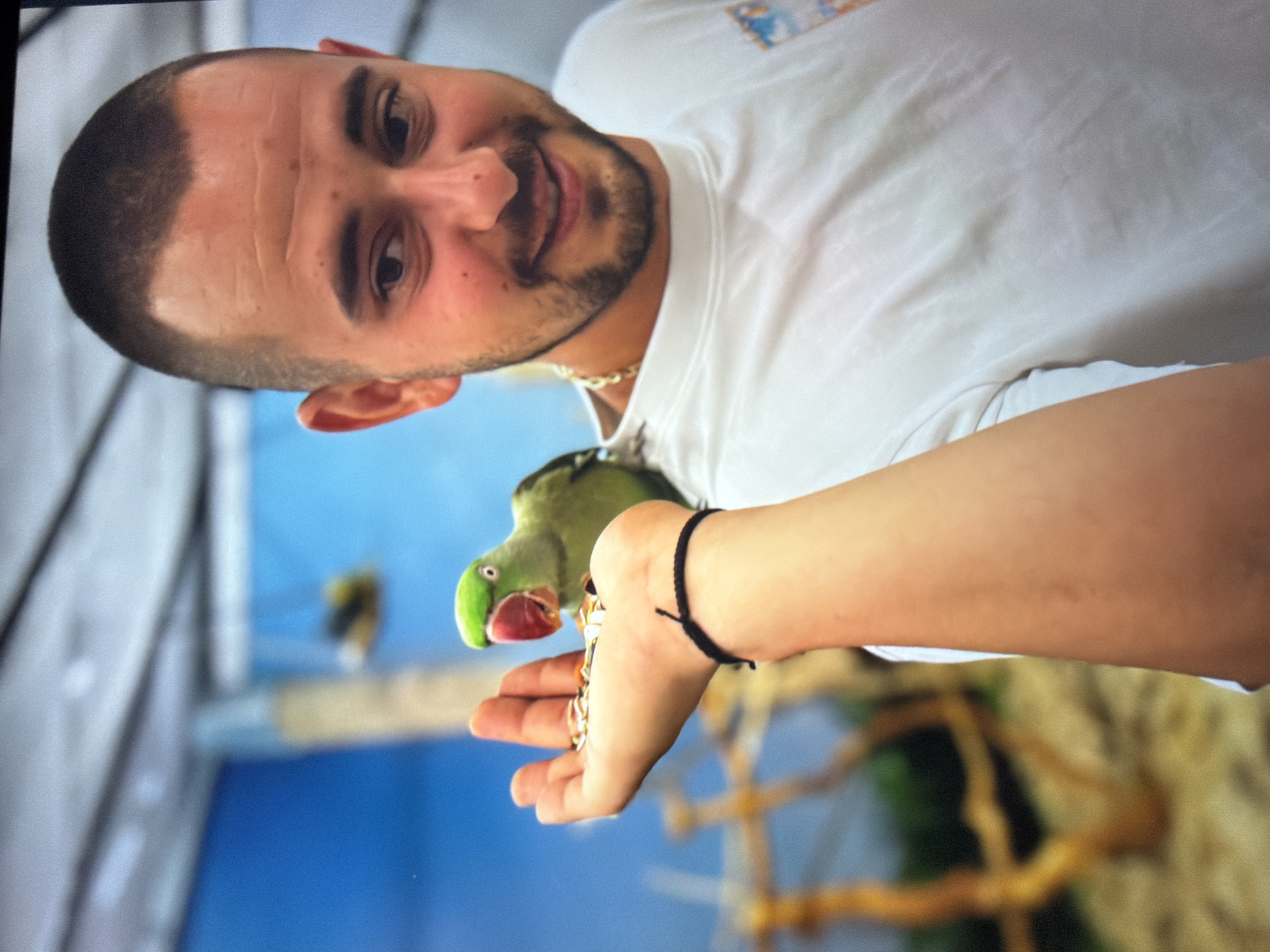 A man is holding out his left hand to feed a green parrot. The man has a short beard and is wearing a white t-shirt and a gold chain necklace. He has a black bracelet on his left wrist. The parrot is perched on his wrist, eating from his hand. The background appears to be a blue wall with some blurry objects, possibly other birds or branches. The location seems to be inside a bird sanctuary, potentially in the city of Unknown, Unknown.