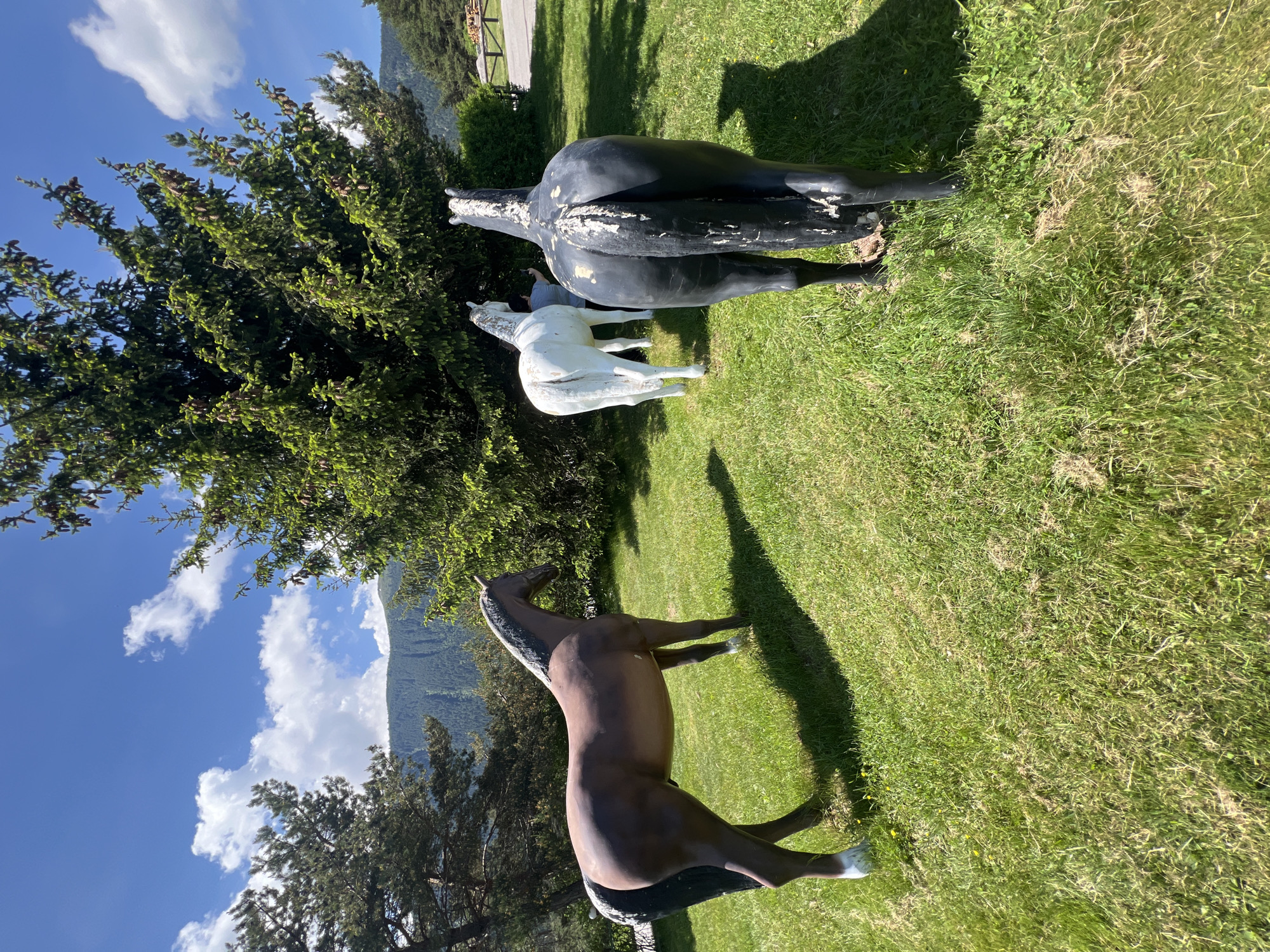 Three life-sized horse statues are positioned on a grassy hill under a blue sky with scattered white clouds. The statue in the foreground on the left is brown with a black mane and tail, and white socks on its hind legs. To the right and slightly behind it, a white horse statue stands facing away from the viewer. In the immediate foreground, a black horse statue faces away from the viewer, with white patches on its tail. A large evergreen tree is prominent in the background, with more trees and a mountain range visible further in the distance. The scene appears to be an outdoor recreational area or park.