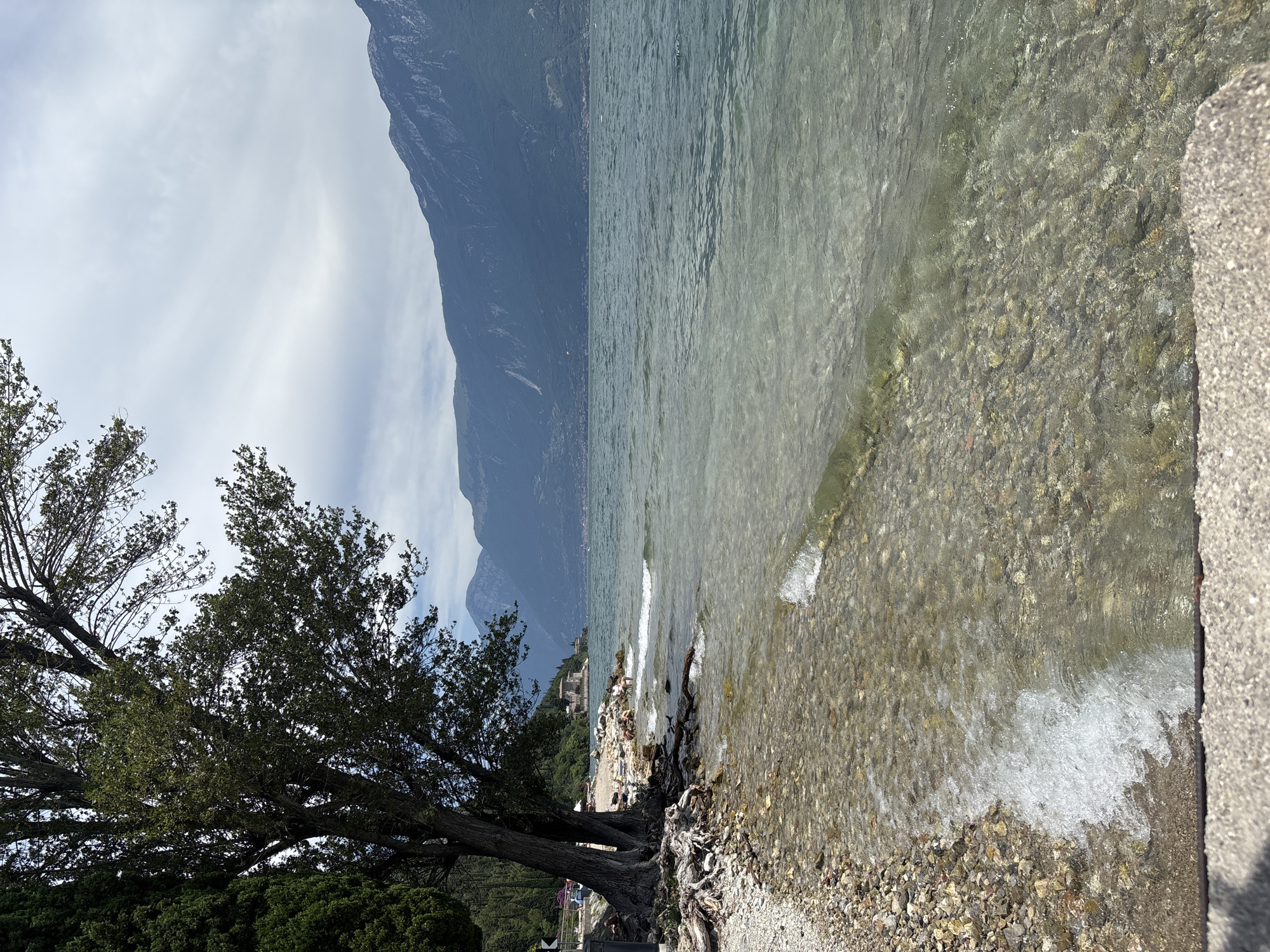 The image depicts a picturesque lakeside scene in Tignale, Italy, under a cloudy sky. The foreground features a pebbled shore with clear, shallow water lapping at the edge. Small waves are breaking on the stones. To the left, a large tree with exposed roots dominates the frame, casting a shadow over part of the beach. Several people are visible on the beach, some sitting and others appearing to be walking or interacting. In the mid-ground, beyond the beach and people, is the expanse of a calm lake. Further in the distance, mountains rise majestically, their slopes a deep green and their peaks partially obscured by the overcast conditions. A few buildings are visible along the shoreline in the distance. The overall impression is one of a tranquil, natural setting with a touch of human presence.