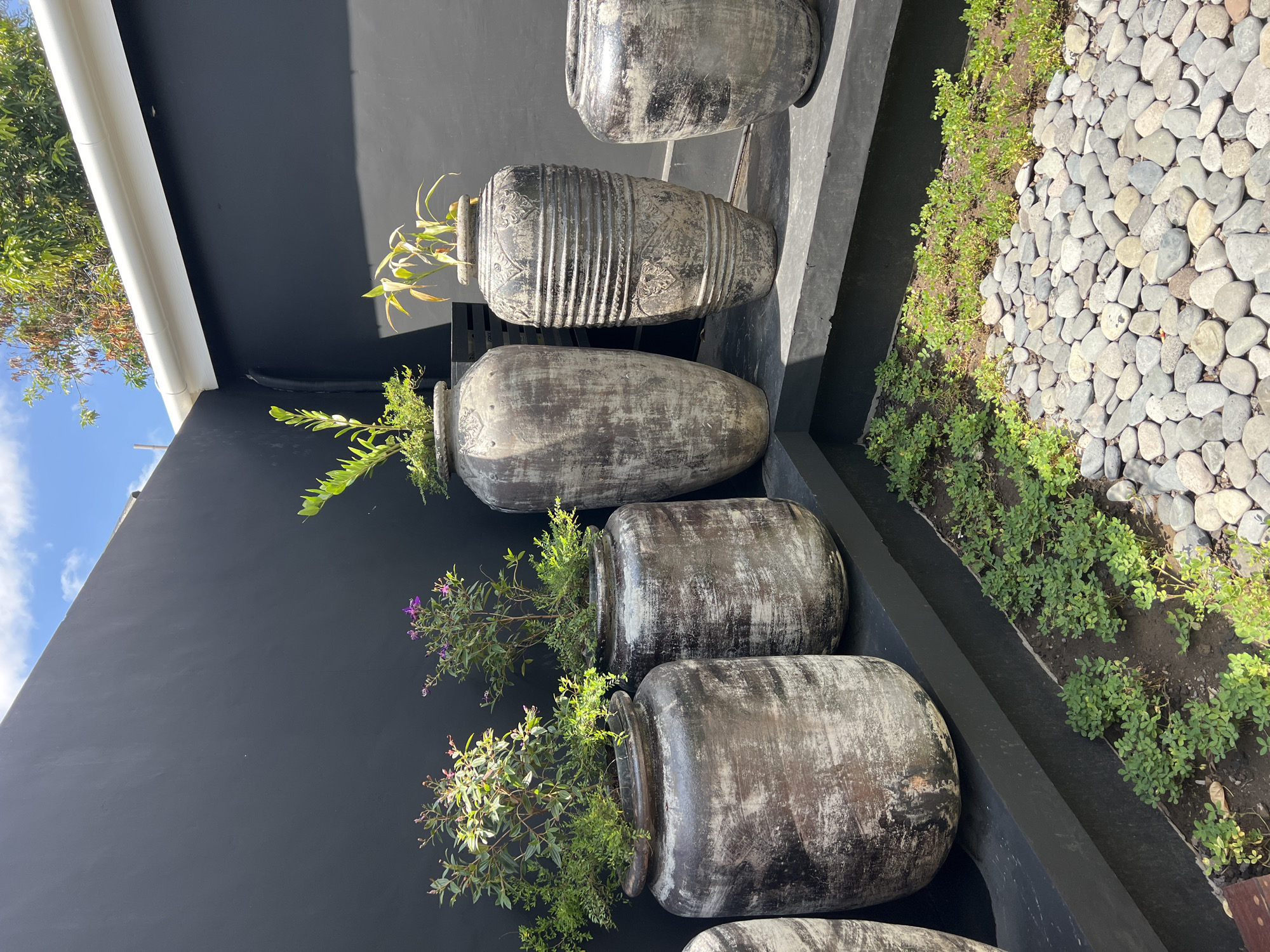 This media file captures an outdoor garden or patio scene, presenting a row of large, rustic pots against a dark wall.
The main subjects are six substantial, weathered pots or vases, likely made of ceramic or concrete, with a distressed finish featuring dark grey/black bases and prominent white/light grey streaking. They vary in shape, with some being more rounded and squat, while others are elongated. One pot is notably decorated with intricate horizontal ridges and patterns. Lush green plants, some bearing small purple flowers, emerge from the openings of these pots.
The backdrop consists of a plain, dark grey or black wall. In the upper left corner, a white rain gutter runs horizontally, above which vibrant green tree foliage and a clear blue sky with scattered white clouds are visible. To the right of the pots and below their level, a narrow garden bed contains small, vivid green ground cover plants. Adjacent to this bed is a wider section covered entirely with smooth, rounded, light grey and white pebbles or river stones.
The scene is brightly illuminated by natural sunlight, casting distinct shadows on the wall and highlighting the textures of the pots and pebbles. The overall aesthetic, with its natural materials, bold contrasts, and tropical plants, suggests a serene and stylish garden environment, consistent with settings found in North Kuta, Indonesia. There is no visible activity or text.