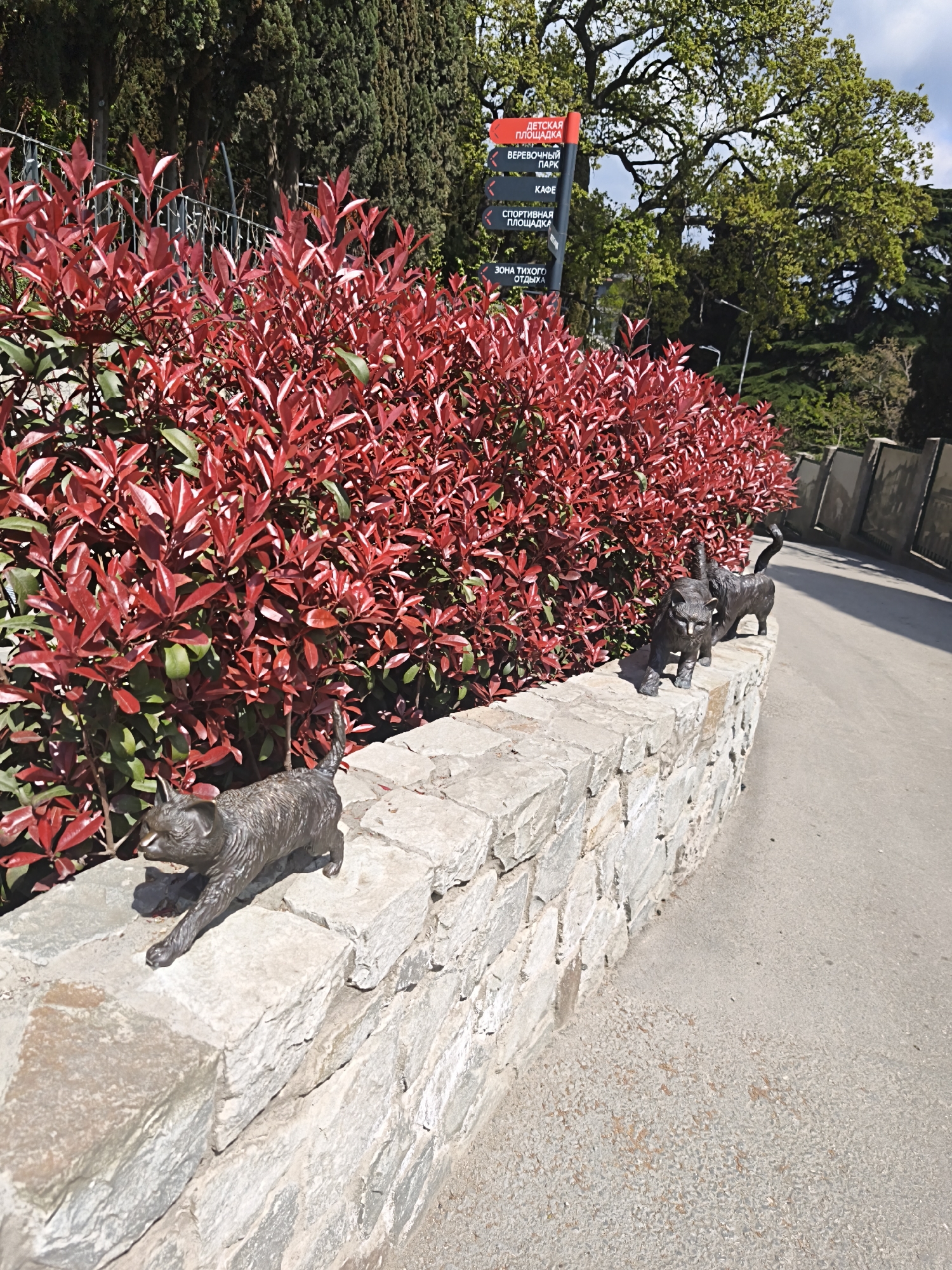 The image shows a street scene in Алупкинский городской совет, Ukraine, featuring a low stone wall with three bronze cat sculptures, a vibrant red bush behind the wall, and a sign indicating directions to the children's playground, rope park, cafe, and quiet rest area. The perspective is at ground level, along the pavement. A paved road runs adjacent to the wall, stretching into the distance. Trees line the background, providing foliage cover. The lighting is bright, indicating daytime.