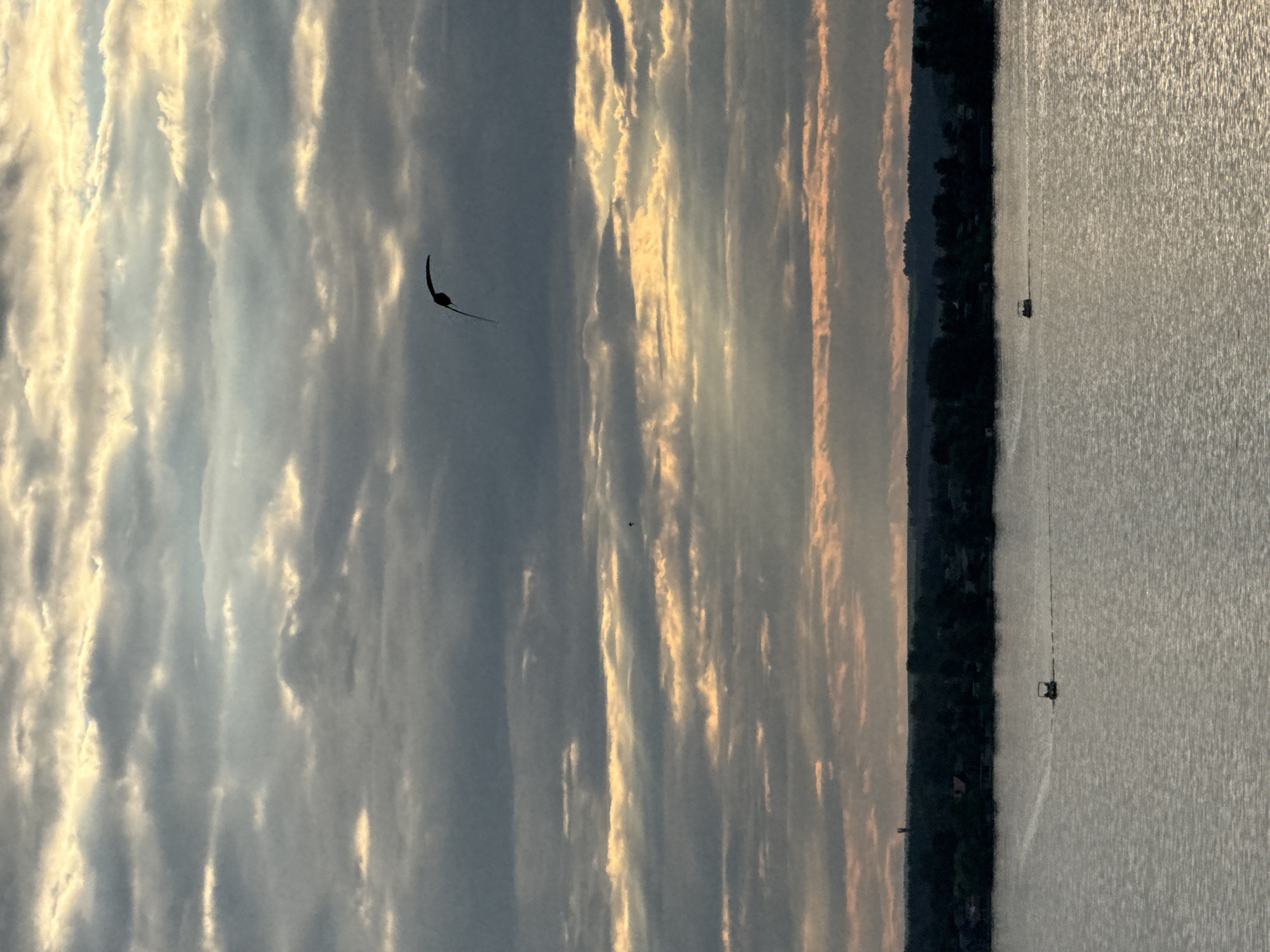The image depicts a wide shot of a lake at dusk, with a treeline and distant structures along the far shore. The sky is filled with dramatic, layered clouds, some illuminated by the setting sun, creating bands of light. A solitary bird is silhouetted against the sky in flight, near the center of the frame. On the water, two small boats are visible in the middle distance, leaving faint wakes. The water surface reflects the muted light from the sky. The overall scene is serene and captures a moment of natural beauty. The location is Votkinsk, Russia, known for its scenic lakes and natural landscapes.