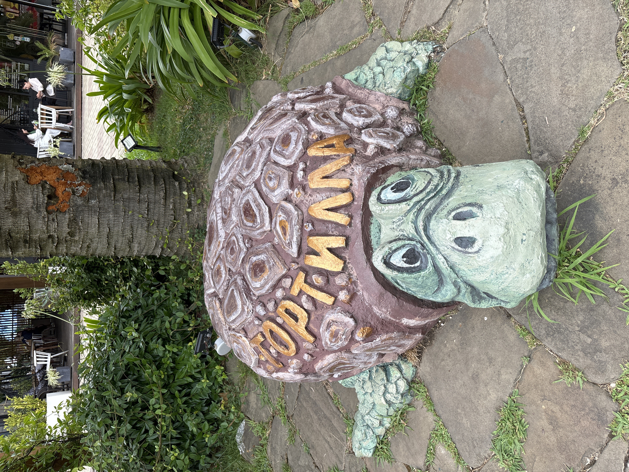 A statue of a turtle with the Cyrillic letters "ГОРТИЛЛА" on its shell is located in front of a building with outdoor seating in Sochi, Russia. The turtle statue is green and brown with gold letters. It is lying on a paved area with grass growing between the stones. In the background, people are seated at tables outside the building, which appears to be a cafe or restaurant. There are also plants and trees around the statue and building.