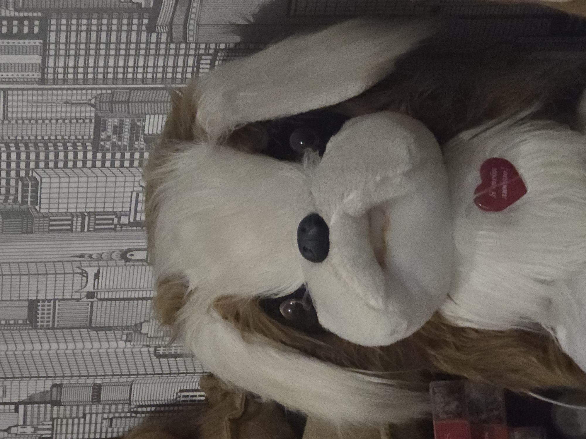 A close-up shot of a stuffed dog toy is shown, with the background appearing to be wallpaper. The dog is predominantly white and tan, with dark eyes and a black nose. A small, red heart-shaped charm is attached to the dog's fur. The wallpaper features a pattern of buildings that resembles a cityscape. The lighting appears to be artificial, as there are reflections in the dog's eyes. No activity or event is taking place, and the image captures a still moment. There is visible text on the red heart charm, though it is not clearly legible. The overall impression is that of a well-loved toy placed in a decorative setting.