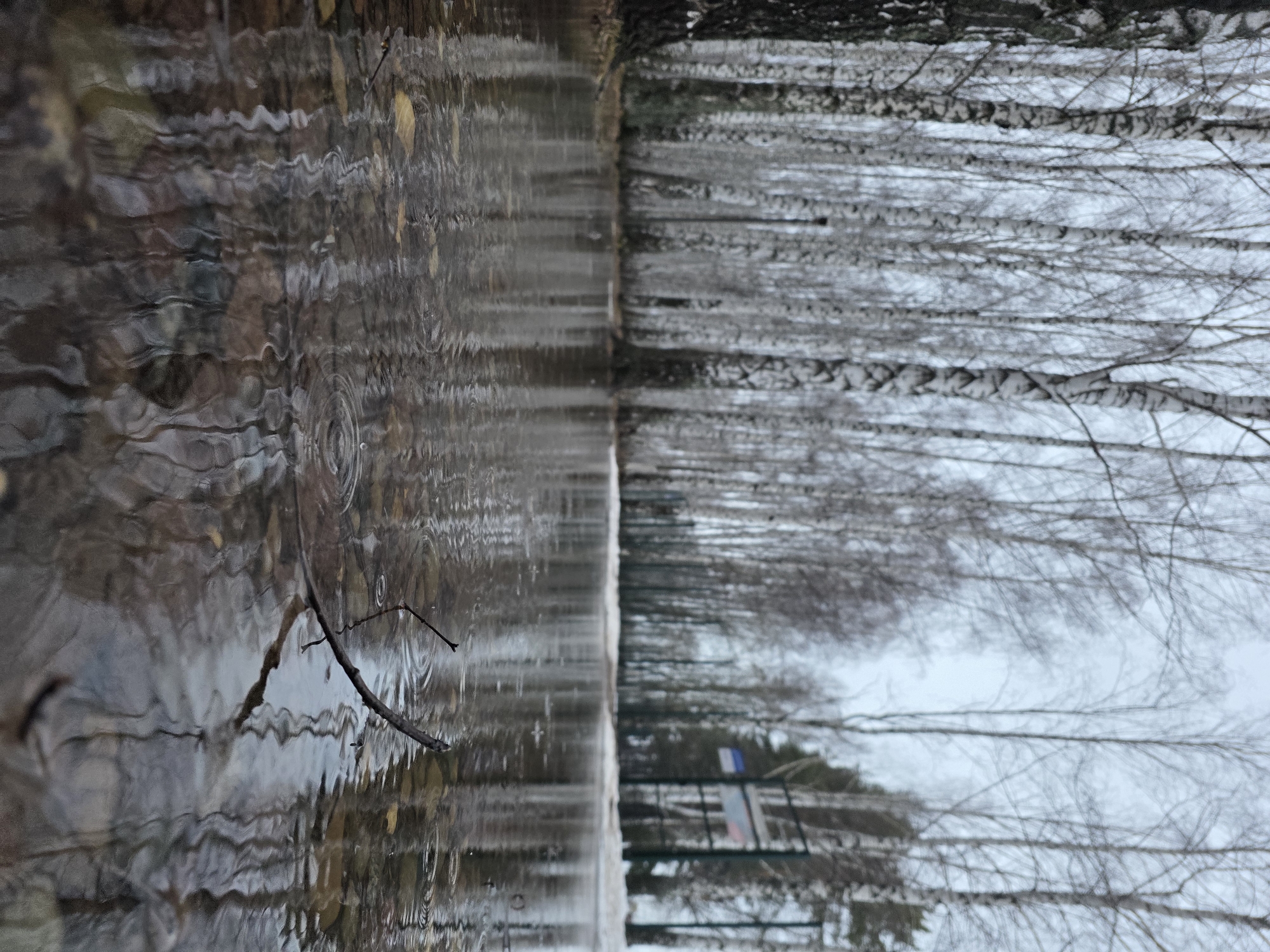 The image shows a reflection in a body of water, likely a pond or puddle. Bare trees, possibly birch, line the opposite bank. The reflection is distorted by ripples on the water's surface. There's a small twig floating in the water. The sky is overcast and gray, typical of a late autumn or early winter day. In the reflection, a fence and a flagpole with a Russian flag can be seen. Considering the presence of the Russian flag, this photo was probably taken in Chaikovsky, Russia. The scene suggests a park or wooded area within the city.