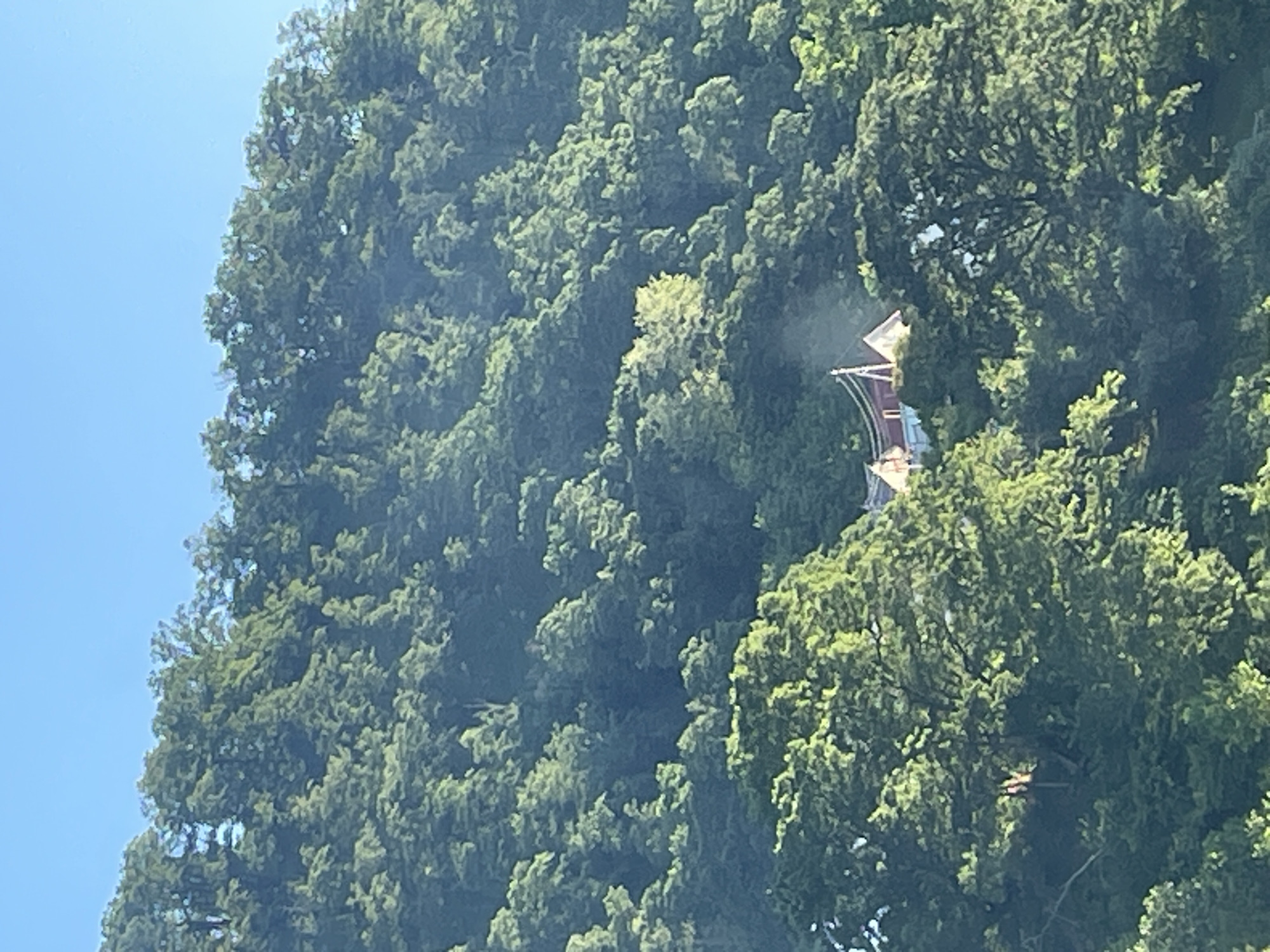 The image displays a dense, verdant hillside covered in numerous green trees, set against a clear, bright blue sky. The scene is primarily dominated by the lush foliage, which occupies the majority of the frame.
Nestled among the trees on the right side of the image, a unique structure resembling the upper part of a sailing ship is visible. This object features a reddish-brown base or hull, several levels, and distinct white or beige elements that appear like furled sails or decorative awnings. A mast is also discernible, rising from the structure. The "ship" is partially obscured by the surrounding foliage, giving the impression of it being built into or emerging from the hillside.
The time of day is bright daylight, indicated by the well-lit trees and the vibrant blue sky, which appears cloudless. No specific activity or event is captured, and the structure seems stationary. There are no people visible in the frame, nor any discernible text. The overall atmosphere is one of serene nature with a striking man-made addition. Given the provided location context of Baranovka, Russia, this structure could be a distinctive architectural feature or a themed building.