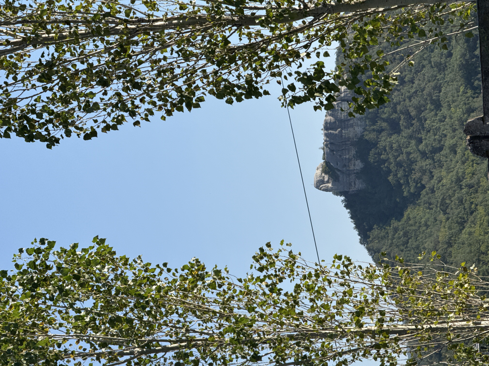 Two tall trees with sparse green leaves frame a rocky cliff face topped with a large rock formation, seen on a clear day with a blue sky. A thin wire stretches horizontally across the middle ground, in front of the cliff. The base of the cliff is covered in dense green foliage.
