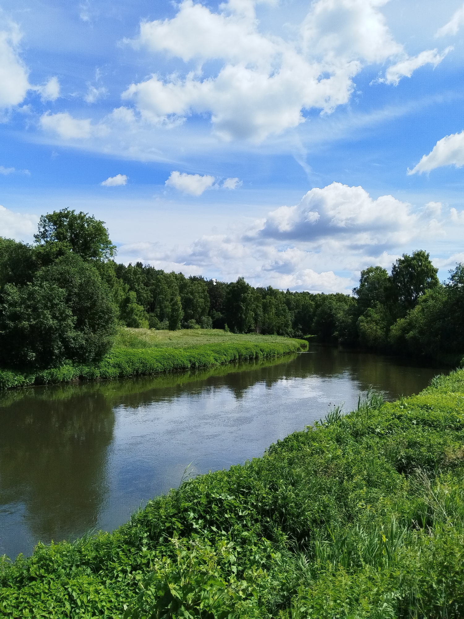 A natural landscape photograph captures a meandering river flowing through a verdant area. The river occupies the lower half of the frame, with its dark, reflective surface showing subtle ripples and the mirroring of the sky and surrounding foliage. The riverbanks are densely covered in lush green vegetation, ranging from short grasses near the water's edge to taller plants and trees further back.
On the left side of the river, a thick cluster of trees forms a dense green wall, with individual tree canopies visible. On the right bank, the vegetation is also thick, with a variety of green plants and grasses extending upwards.
In the background, a line of trees stretches across the horizon, appearing as a dark green band. Beyond the trees, the sky is a bright blue, punctuated by a scattering of white, fluffy cumulus clouds. The lighting suggests it is daytime, likely late morning or early afternoon, with the sun illuminating the scene. The overall atmosphere is tranquil and natural, depicting a peaceful riverside environment. There are no people or man-made structures visible in the image.