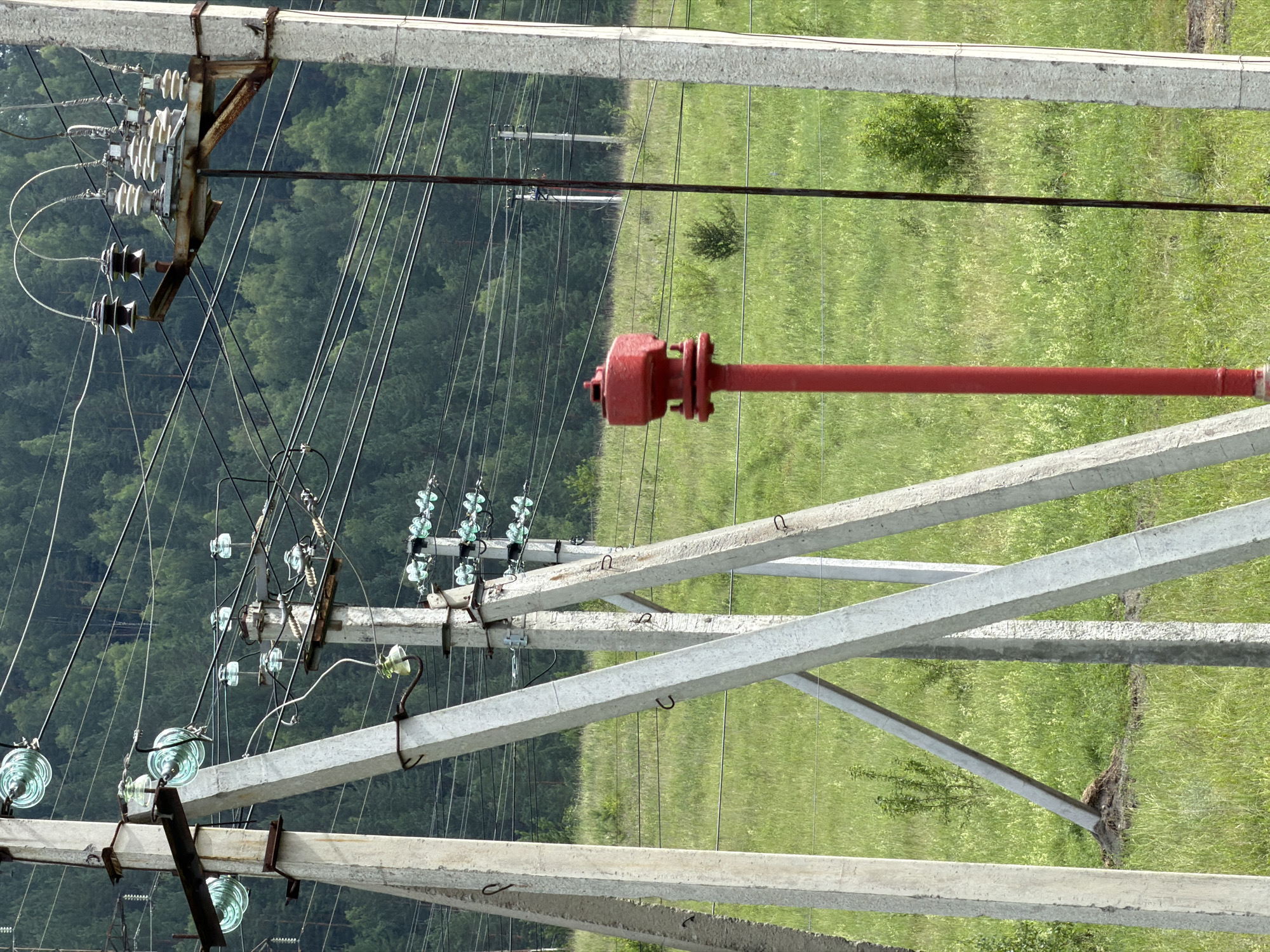 The image depicts an outdoor scene in the city of Katun, Russia, likely on a hillside or rural area given the presence of trees in the background. Dominating the foreground are several tall, weathered concrete power poles, some of which are tilted and supported by diagonal braces. These poles are equipped with insulators and a network of electrical wires, suggesting a power distribution or transmission line. In the middle ground, a bright red, cylindrical object with a flanged base and a cap-like top stands vertically amidst lush green grass and scattered bushes. This red object appears to be a piece of industrial equipment or infrastructure. The background is comprised of a densely forested hillside, with the green of the trees contrasting with the lighter green of the grassy foreground. The sky is not visible in this image. There are no people present.