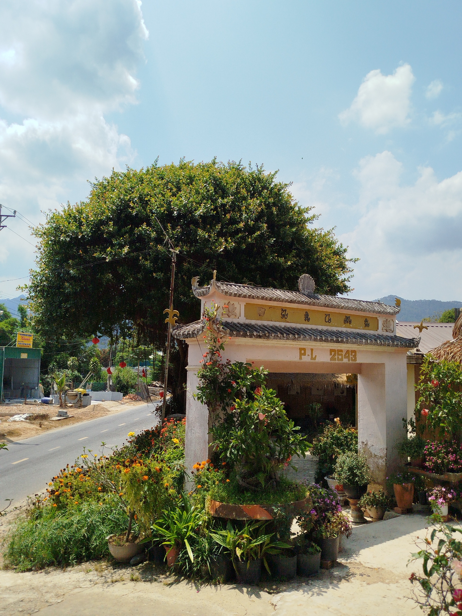 The image shows a road scene with a prominent, ornate entrance structure in the foreground. The entrance is decorated with traditional Vietnamese architectural elements, including curved roof tiles, decorative embellishments along the roofline, and inscribed characters. The inscription "P-L 2543" is visible above the entrance. The structure is flanked and surrounded by potted plants and flower beds, adding a colorful, garden-like ambiance.
To the left of the entrance, a road runs parallel to the foreground. Across the road, there is a building under construction, and construction materials are scattered around. A large, mature tree dominates the left of the frame, providing a backdrop for the scene.
In the distance, mountains are faintly visible under a partly cloudy sky. The scene appears to be located in a rural or suburban area of Diom A, Vietnam, given the architectural style, vegetation, and the presence of both residential and roadside elements. No people are visible in the image.