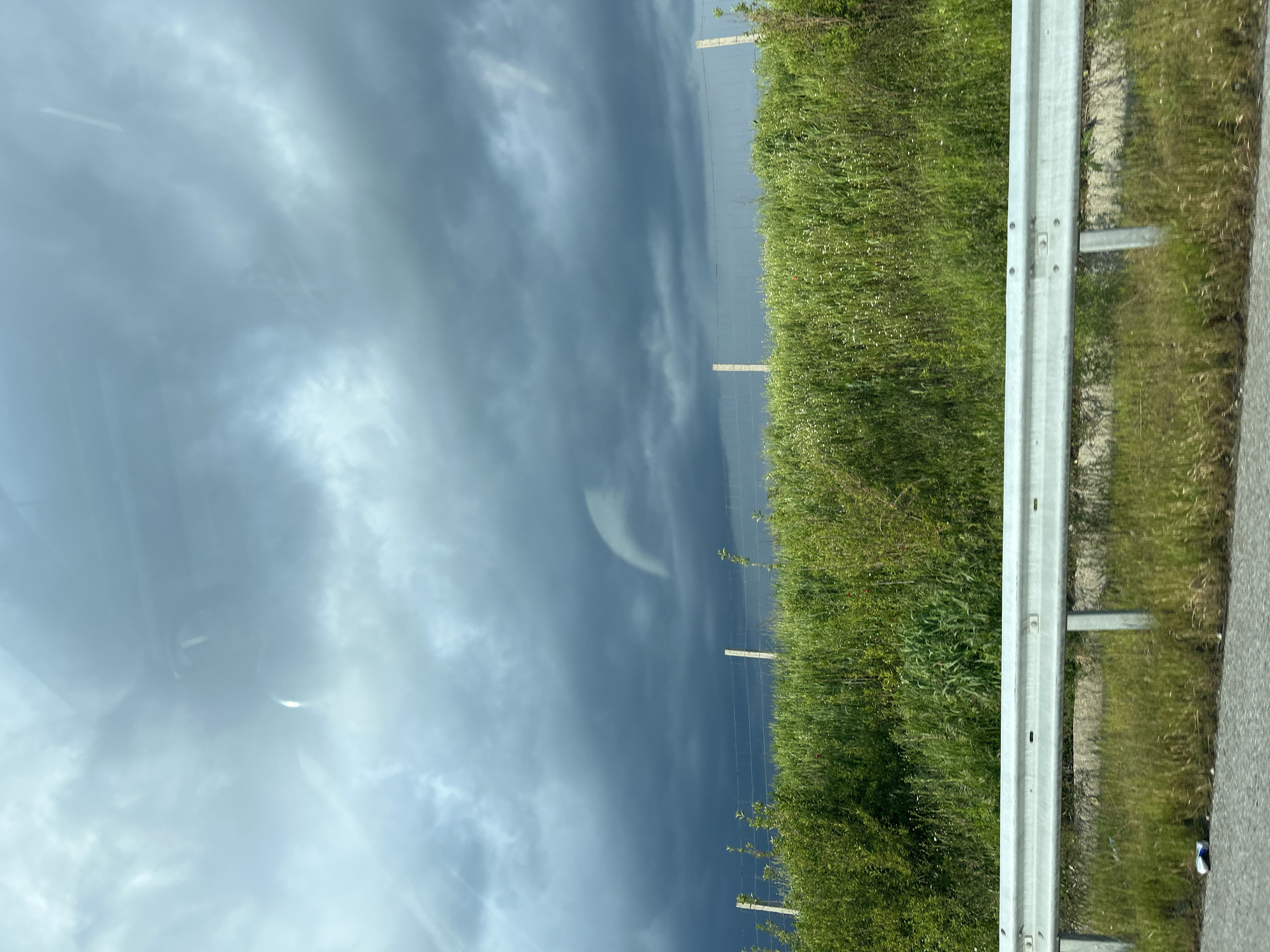 The image shows a view from inside a vehicle, likely on a highway or road. On the right side of the frame, a metal guardrail runs along the road. Beyond the guardrail, there is a grassy verge with dense green vegetation. In the background, there are utility poles and possible a fence. The sky above is overcast with dark, stormy-looking clouds. The reflections in the windshield obstruct the view and limit detailed assessment of the environment. The exact location in the city of Градина, Bulgaria, cannot be determined from the provided image.