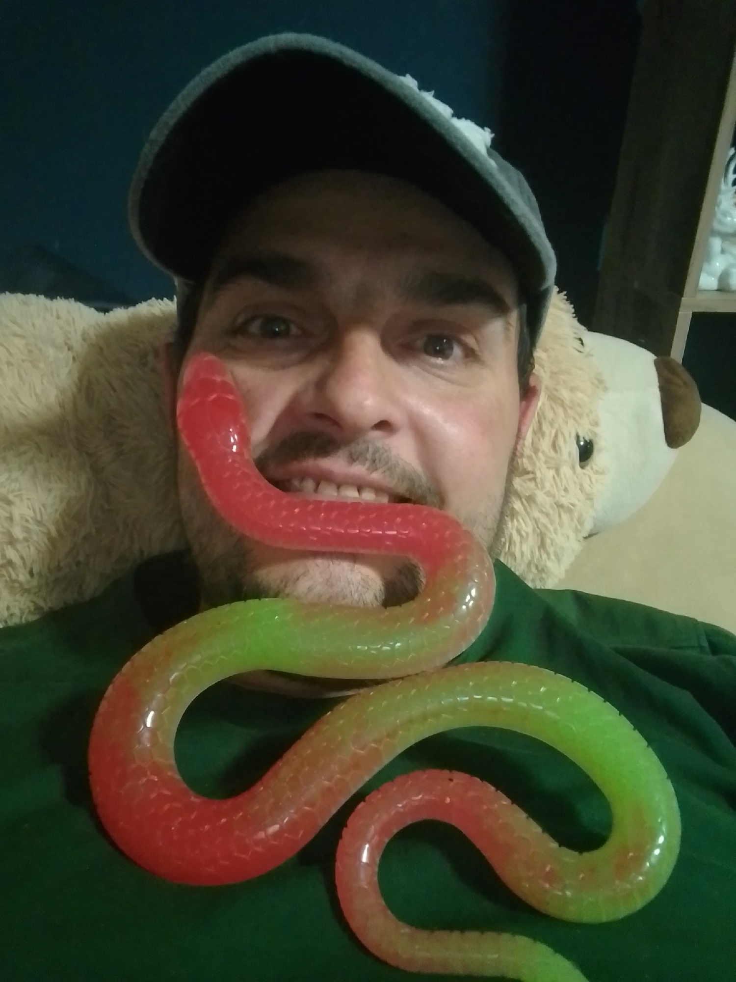 A close-up, medium shot shows a man wearing a gray baseball cap and a green shirt. The man has dark hair, brown eyes, and a mustache. He is smiling with his mouth slightly open, and a red and green translucent toy snake is draped across his mouth and down his chest. The snake appears to be made of a jelly-like material and has a ribbed texture. Behind the man, to his left, is the furry head of a light brown stuffed animal, possibly a bear. The background is dark and out of focus, with a hint of a wooden shelf to the right. The lighting is dim. The overall impression is of a playful or humorous pose.