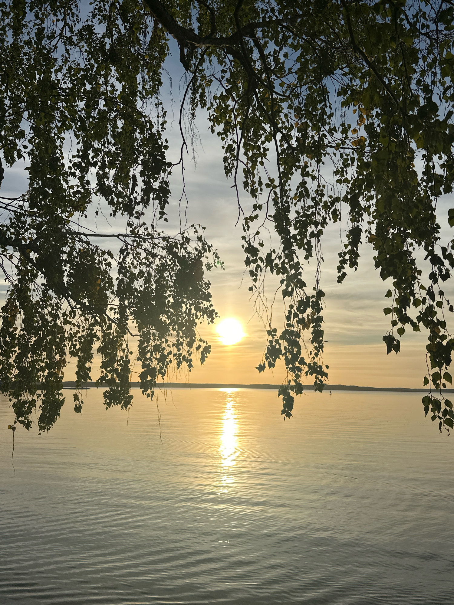 A natural scene captures a sunset over a body of water, framed by tree branches with green leaves. The sun is a bright orb low on the horizon, casting a warm golden reflection across the rippling surface of the water. The sky above is partly cloudy, with streaks of white and grey against a pale blue. In the distance, a faint dark line suggests a landmass or tree line. A lone, small silhouette, possibly a person on a paddleboard, is visible on the water near the horizon. The image appears to be taken from a shoreline or near a body of water within the Zhadanovichi rural council area of Belarus.