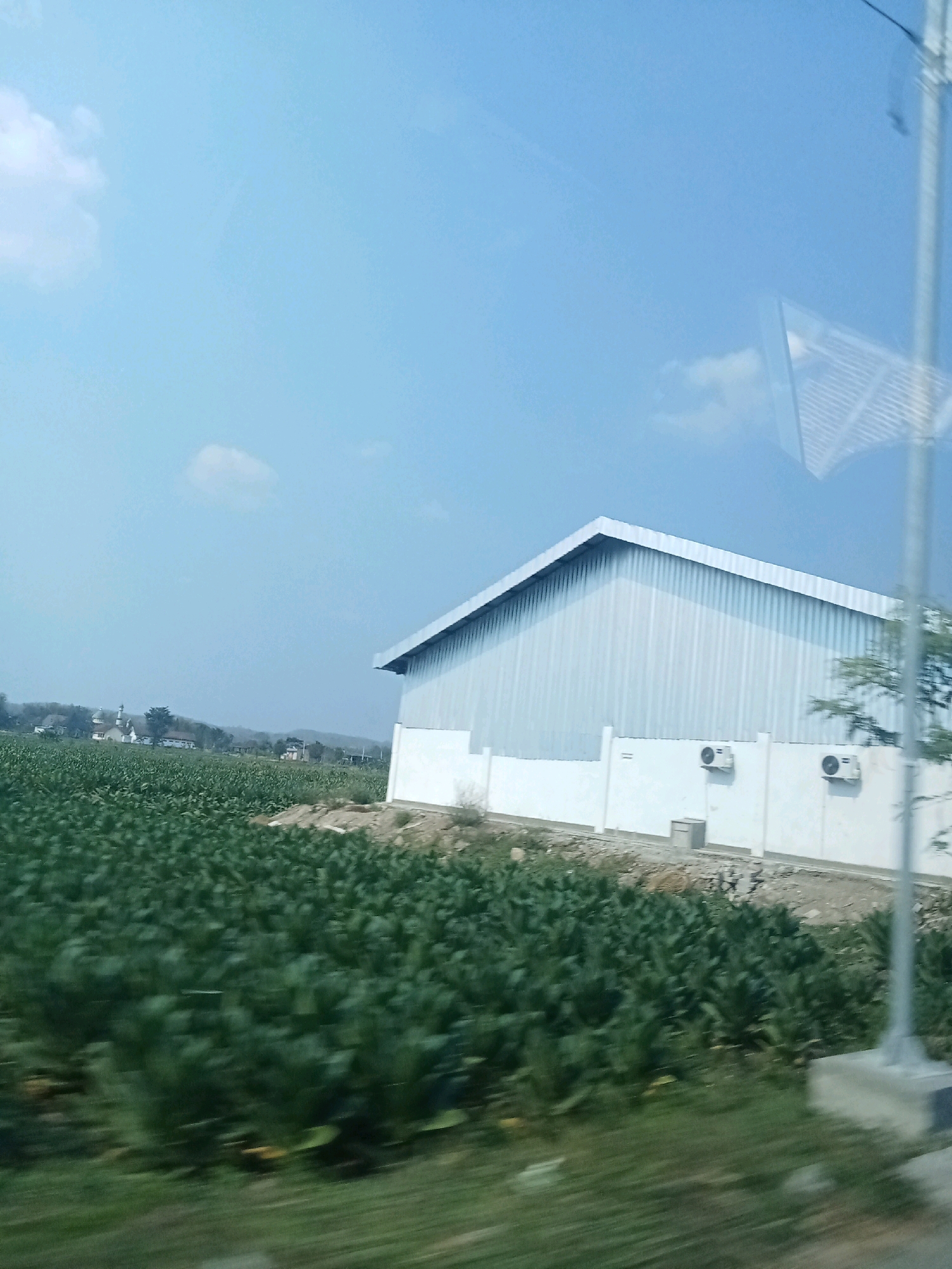 The image depicts a wide, low-angle shot of an agricultural field and a building in Karang Pakis, Indonesia. The foreground is dominated by a blur of green foliage, likely crops, suggesting motion or a shallow depth of field. Behind the field, a large, light-colored industrial building with a corrugated metal roof stands prominently. The building has white walls and features two visible air conditioning units and a small gray electrical box on the exterior. The sky above is a clear, light blue with a few wispy clouds. In the distance, a cluster of smaller buildings, possibly a village or town, can be seen against a backdrop of hills. The overall scene suggests a rural or semi-rural industrial area within the agricultural landscape of Karang Pakis.