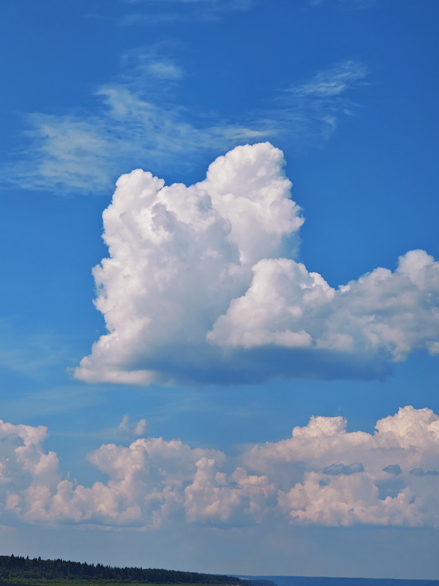This vertical shot captures a vast, clear blue sky filled with dramatic, fluffy white cumulus clouds. A large, imposing cloud formation dominates the center of the frame, appearing almost sculpted with intricate details and shadows. Below this, a series of smaller, more scattered clouds stretch across the horizon, their undersides tinged with gray, suggesting a dynamic atmosphere.
In the lower portion of the image, a dark, tree-lined horizon line indicates a distant landmass, likely a forest, with a faint suggestion of a body of water or valley beyond. The overall impression is one of a bright, sunny day, likely mid-afternoon given the intensity of the sunlight and the crispness of the cloud formations. The scene evokes a sense of natural beauty and expansive openness, typical of a rural or wilderness setting. There is no visible text in the image. The setting is suggestive of a remote, natural landscape, consistent with a location like Podkamennaya Tunguska, Russia, known for its vast forests and open skies.