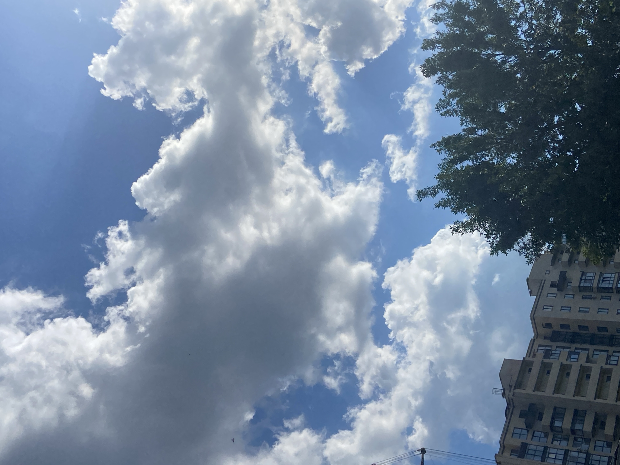 A bright, overcast sky with dramatic, fluffy white clouds dominates the frame. The blue sky peeks through in patches. In the lower left quadrant, the upper section of a beige, multi-story apartment building is visible, characterized by numerous balconies and dark-paned windows. A tall construction crane extends from the far left edge. In the lower right, the dense, dark green foliage of a mature tree occupies a significant portion of the scene. The image appears to have been taken in the city of Poltava, Ukraine, given the architectural style of the building and the presence of a construction crane.