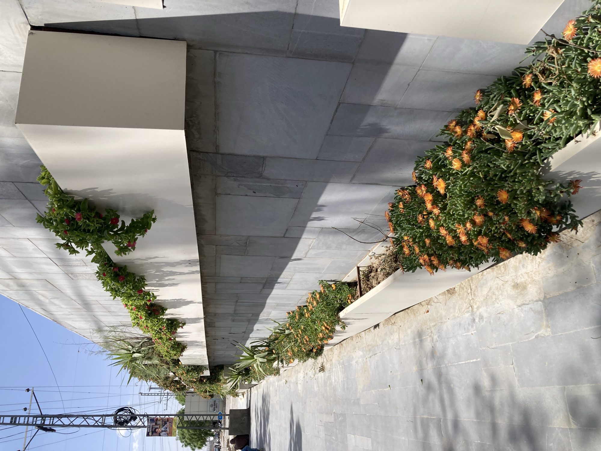 A sunlit urban pedestrian area in Quetta City Tehsil, Pakistan, features a wide pathway paved with rectangular grey stone or concrete tiles. The pathway runs alongside a modern, light-colored building with a smooth, off-white facade, part of which has a textured grey finish.
Two long, elevated white planters run parallel to the building. The planter closer to the viewer is filled with vibrant green groundcover plants bearing numerous bright orange, daisy-like flowers, characteristic of *Delosperma* or ice plant. The planter closer to the building contains various green plants, including some with small red flowers and several larger agave-like succulents.
The bright conditions are indicated by a clear blue sky in the background and strong, distinct shadows cast by the planters and the building onto the grey pavement, suggesting midday or early afternoon. In the distant background on the left, utility poles with a dense network of overhead wires are prominent.
Activity in the scene includes at least one person visible sitting or squatting near the lower right of the pathway. In the far distance, blurred vehicles and buildings can be seen. A white rectangular sign on a distant building clearly reads "SAPNA HOSPITAL". Below the utility wires, a vertical banner displays an image of a person with additional, unreadable text, likely an advertisement.