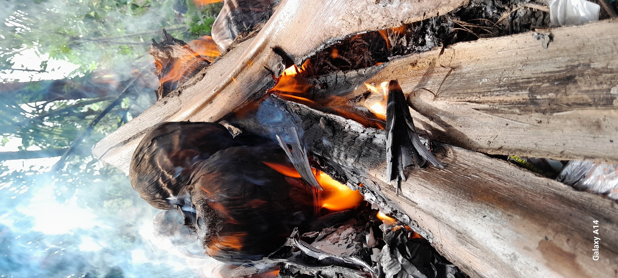 Two charred coconuts are burning in an outdoor fire pit in Tanjong, Indonesia. The coconuts are surrounded by burning palm fronds and wood. Smoke billows from the fire, obscuring the background which appears to be lush green foliage, suggesting a natural or semi-natural environment. The fire is intense, with bright orange flames licking at the coconuts and wood. The image is taken from a close-up perspective, emphasizing the details of the burning materials. A portion of a white plastic bag and a food wrapper, with the word "Makanan" (meaning food in Indonesian) visible, are lodged between the burning palm fronds at the bottom of the frame. The Samsung Galaxy A14 watermark is present in the lower left corner.