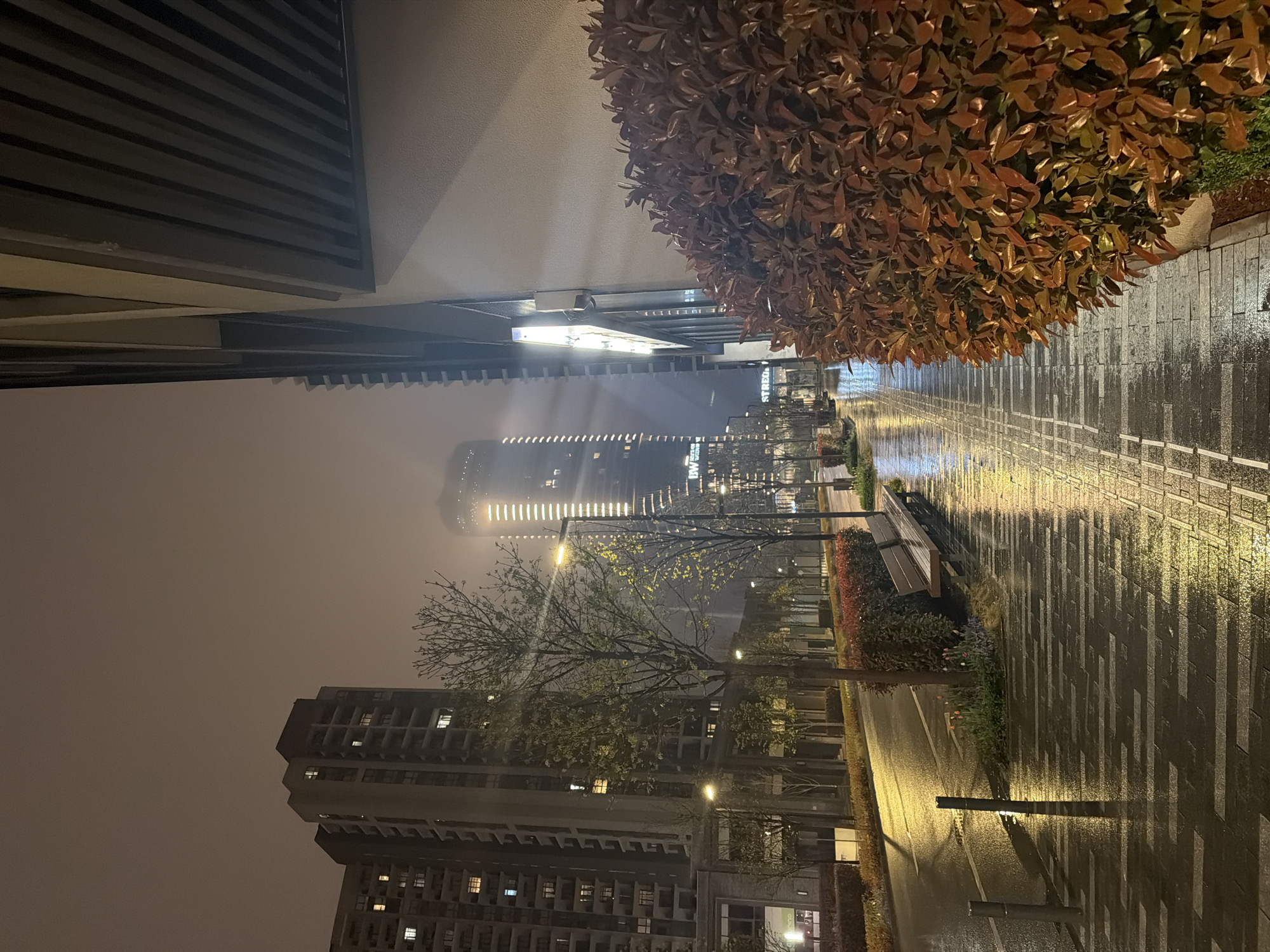 The image depicts a rainy evening in Belgrade, Serbia. The perspective is along a wide, illuminated pedestrian walkway lined with lush bushes on the right. Buildings are visible on both sides of the walkway, with a taller, prominent skyscraper in the distance partially obscured by fog. Street lights illuminate the wet pavement, creating reflections. A park bench is visible along the walkway. The image conveys a quiet, urban atmosphere at night.