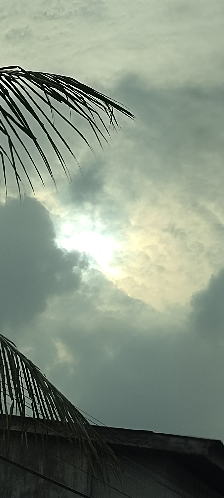 A low-angle shot captures a cloudy sky with the sun peeking through, creating a bright, diffused glow in the upper center of the frame. Two palm fronds extend from the top and bottom left corners, their dark, slender leaves silhouetted against the sky. A dark, textured building structure runs along the bottom of the image, partially obscured by the lower palm frond. Wires are visible strung across the building's surface. The scene is likely outdoors, possibly in a residential or tropical area, given the palm trees. The overall mood is somewhat dramatic due to the contrast between the dark fronds and building and the illuminated sky. The location is identified as Pante, Indonesia.