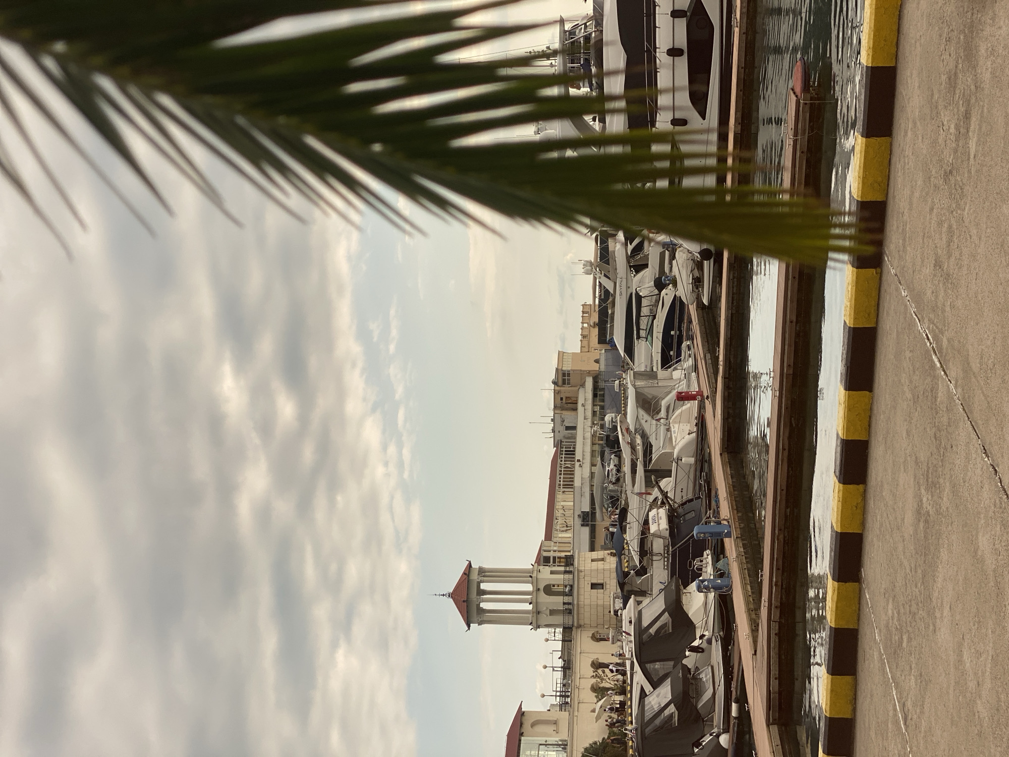 The image depicts a marina with several yachts docked. A portion of a palm frond is in the foreground, partially obscuring the view. The sky is overcast, suggesting a cloudy day. In the background, there are buildings with red roofs and a prominent structure with a white, pillared dome, possibly a landmark. The yachts are white and modern, with some showing visible names, including "SKYFALL." The marina has a wooden dock with yellow and black striped bollards. The scene appears to be a daytime view in a coastal location, likely Sochi, Russia, given the context. There are no explicit activities or events taking place, and the overall mood is calm and serene, typical of a marina setting.