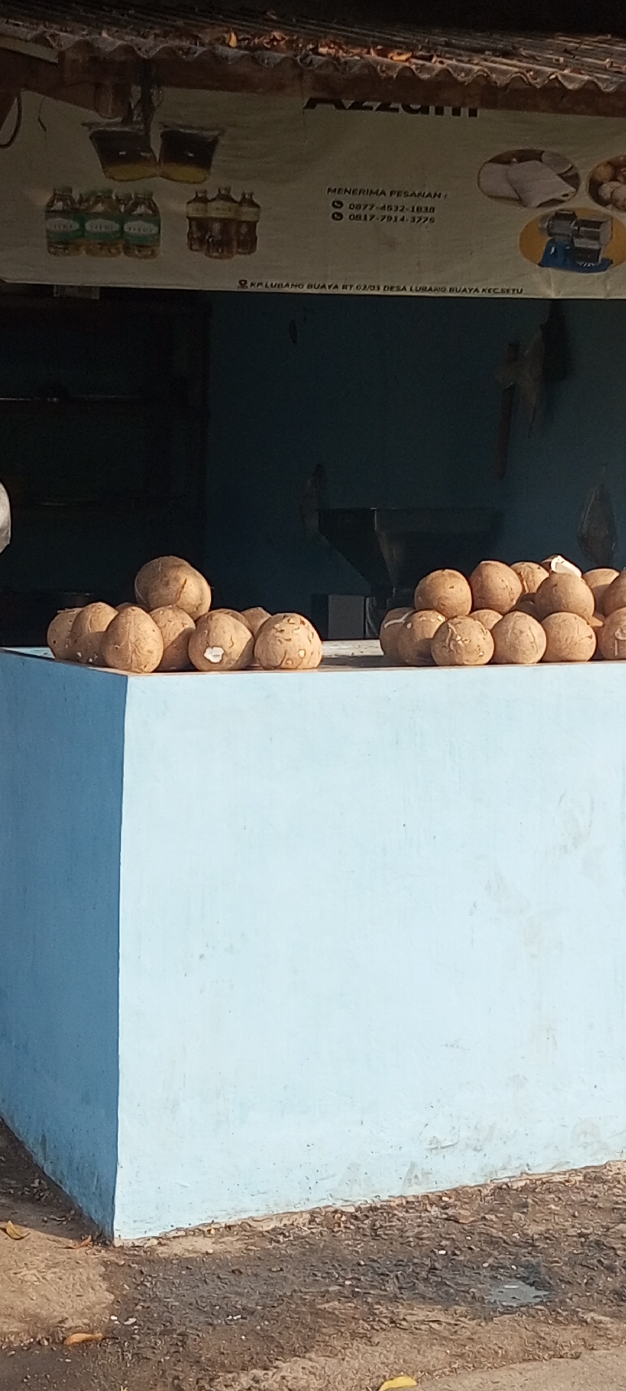 In an outdoor scene, a pile of coconuts sits on a light blue, rectangular surface in front of a building with a dark blue wall. The coconuts are light brown and appear to be whole. Behind the coconuts and building, a banner is visible with Indonesian text that appears to be advertising products and contact information. The banner displays images of bottles and what seem to be food items in containers. The ground in front of the blue surface is composed of dirt and debris. The scene suggests a small business or market stall.