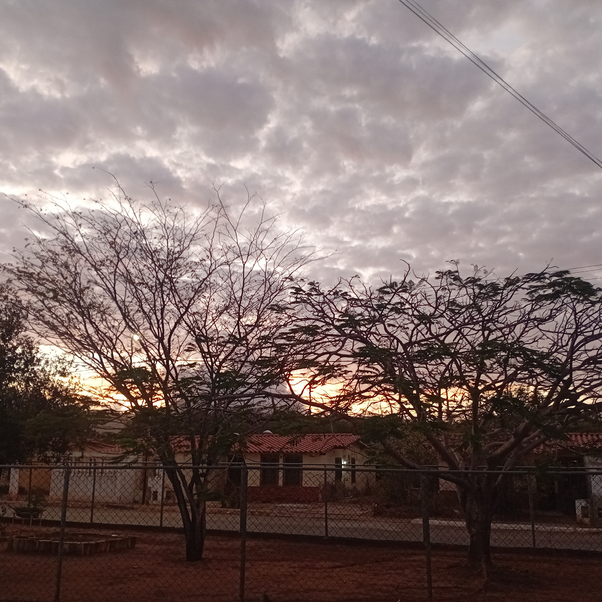 The photograph shows a dusk or dawn scene in an urban area, location unknown. Overcast clouds fill the sky. In the foreground is a chain-link fence, behind which there is a small yard of dry, reddish-brown soil. Two trees frame the central part of the image, with the tree on the left having few leaves, and the tree on the right being fuller. Visible through the trees, a small, single-story building with a red tiled roof sits behind the fence. A faint orange glow from the setting or rising sun is visible between the branches. Power lines are faintly visible in the upper right corner of the frame.
