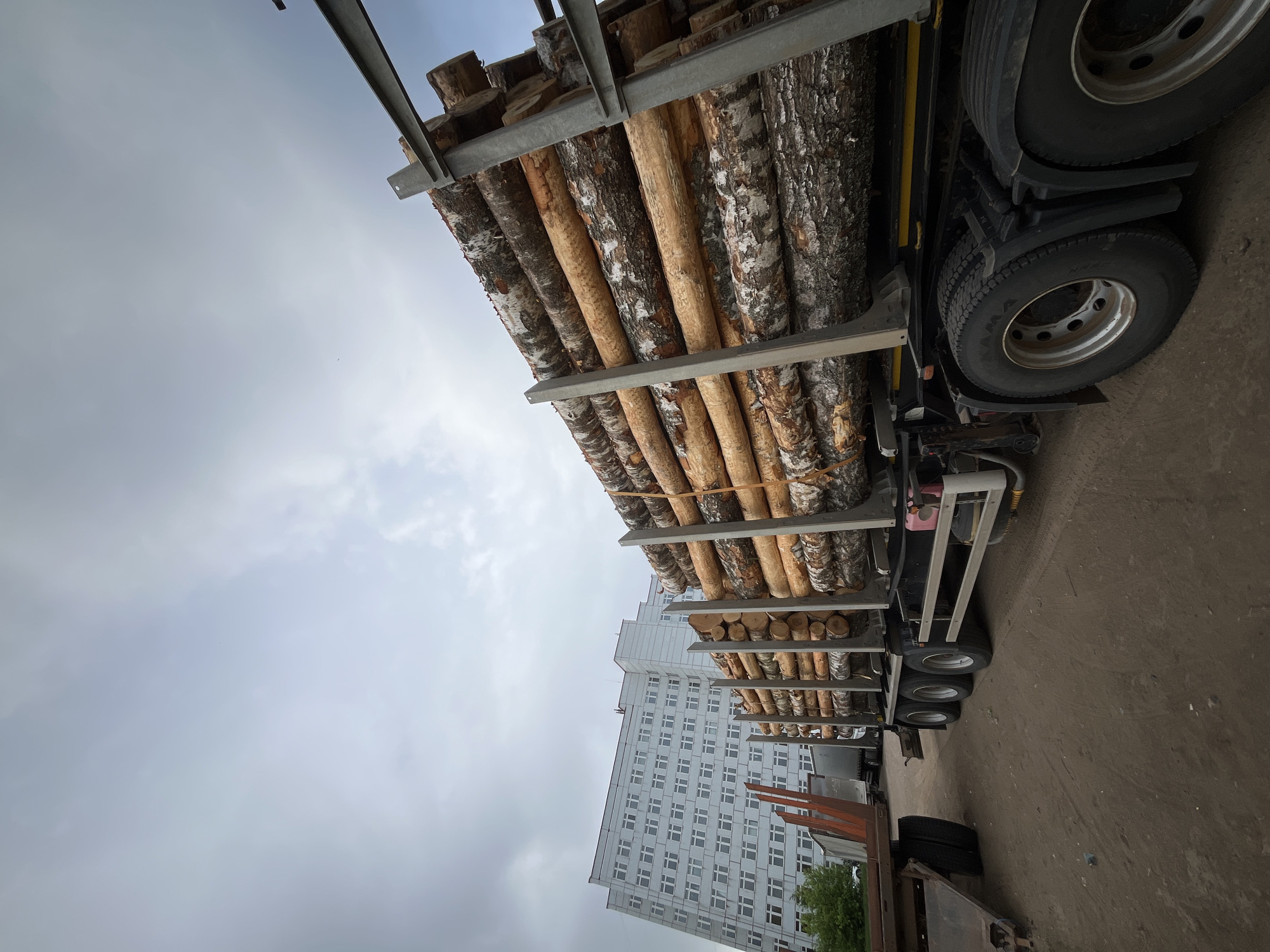 The image depicts a flatbed truck loaded with stacks of birch logs, secured by metal framing. The truck's tires are visible on the right. In the background is a multistory building with rows of windows, characteristic of Soviet-era architecture. Based on architectural styles and urban planning, the location appears to be the city of Chaikovsky, Russia. The sky is overcast. There are no visible people. The overall scene suggests a logging or lumber transport operation.