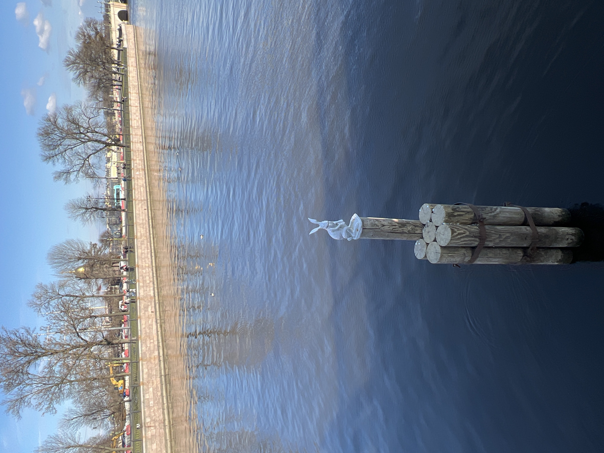 A sunny day in Saint Petersburg, Russia, shows a view of the Neva River. A series of logs bound together float on the river's surface, with a white figurine perched atop them. In the distance, the cityscape is visible, with bare trees lining the embankment. The sky is blue with scattered clouds. The water is a deep blue, reflecting the sky and cityscape. The foreground is dominated by the river and the log structure.