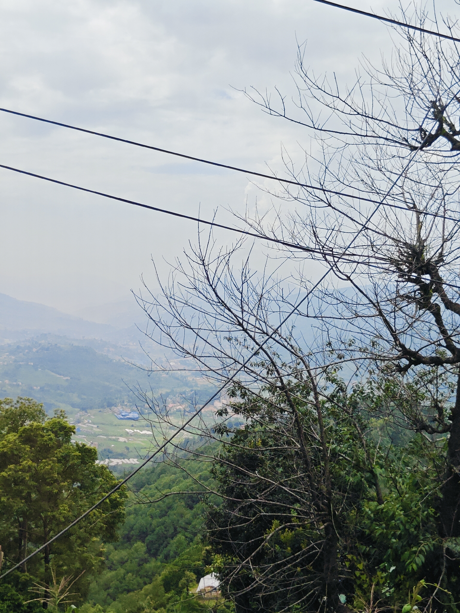 The image captures a panoramic view from a high vantage point in Chandragiri, Nepal, showcasing a valley dotted with scattered buildings and lush green vegetation. The foreground is dominated by the silhouetted branches of a bare tree, with some foliage visible on the left and right. Power lines crisscross the sky, adding a man-made element to the natural landscape. In the distance, the valley recedes into a hazy, atmospheric perspective, with rolling hills and mountains creating a layered backdrop. The sky is overcast, with soft, diffused light suggesting a cloudy day. The overall impression is one of serene natural beauty, with hints of human settlement integrated into the environment.