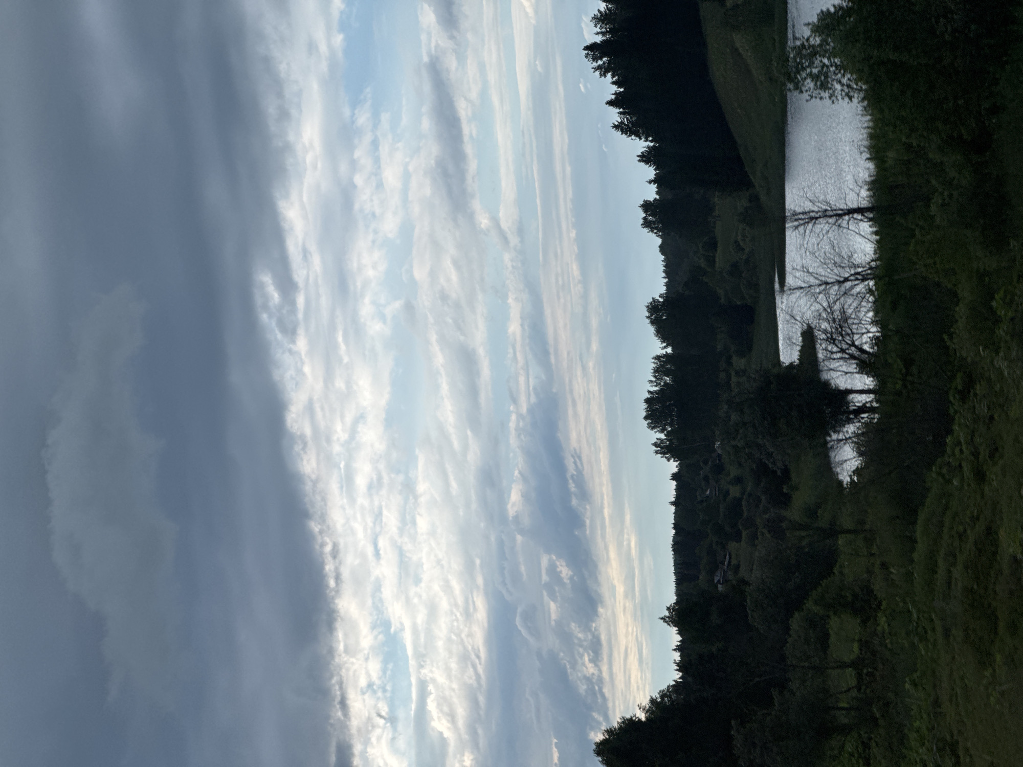 The image depicts a tranquil natural landscape, likely in or near the settlement of Bolshaya Usa, Russia. The scene is dominated by a body of water, possibly a lake or a wide river, reflecting the sky. The water is bordered by dense, dark green foliage, comprising trees and undergrowth that create a sense of depth and natural wildness. In the distance, a line of trees forms a dark silhouette against a cloudy sky. The sky itself is a prominent feature, filled with a dramatic arrangement of clouds ranging from dark, stormy hues to lighter, more wispy formations, with patches of blue sky visible. The overall impression is one of a quiet, possibly overcast day in a rural, forested area. There are no visible people or man-made structures in the immediate foreground or midground, except for what appear to be faint signs of habitation nestled within the trees in the distance.