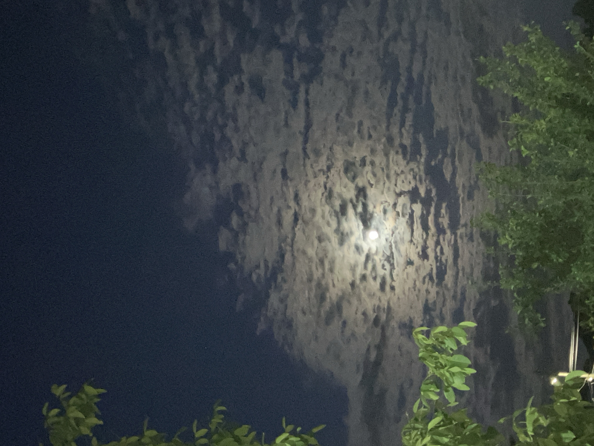 The image shows a night scene with a partially cloudy sky. A bright moon is visible through a break in the clouds, illuminating them with a soft glow. The sky transitions from a deep dark blue on the left side to a lighter, cloudier area near the center and right. Trees with green foliage are visible in the lower left and upper right corners of the frame, suggesting an outdoor location. The location of Komuniga, Bulgaria cannot be verified.