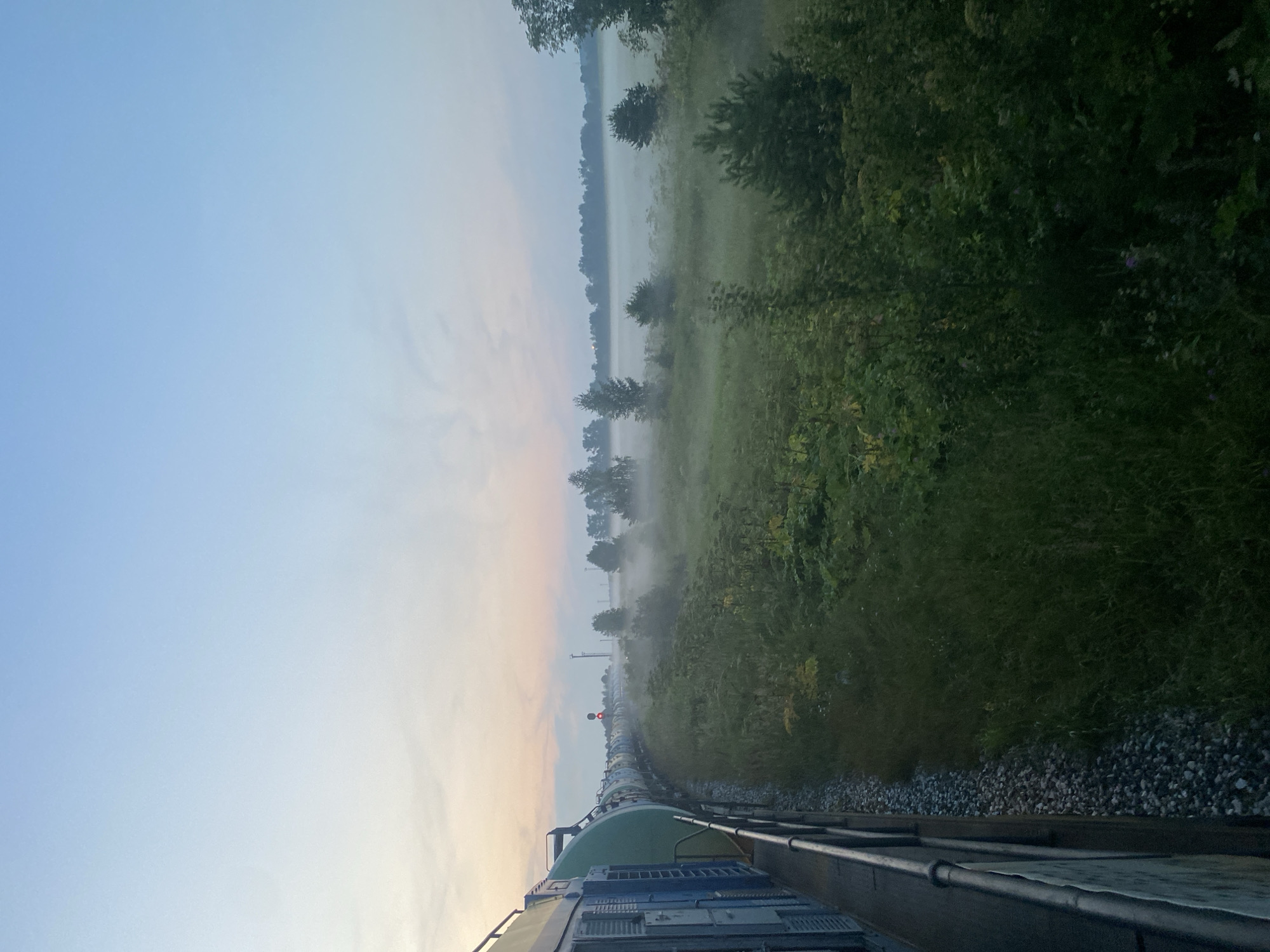 The image captures a train moving through a foggy landscape at dusk. On the left side, a portion of the train is visible, with its blue and green carriages and a metal railing. The train is on tracks with gravel on either side. The landscape to the right features dense green vegetation, including tall plants and trees, with a light fog creating an ethereal atmosphere. In the distance, a railway signal with a red light is visible. The sky is a soft gradient of blue and pale pink, indicating either sunrise or sunset. The overall scene suggests a rural or industrial outskirts setting, likely near Kauchuk Stantsiya, Russia, given the presence of a train and a railway signal. There are no people visible in the image.