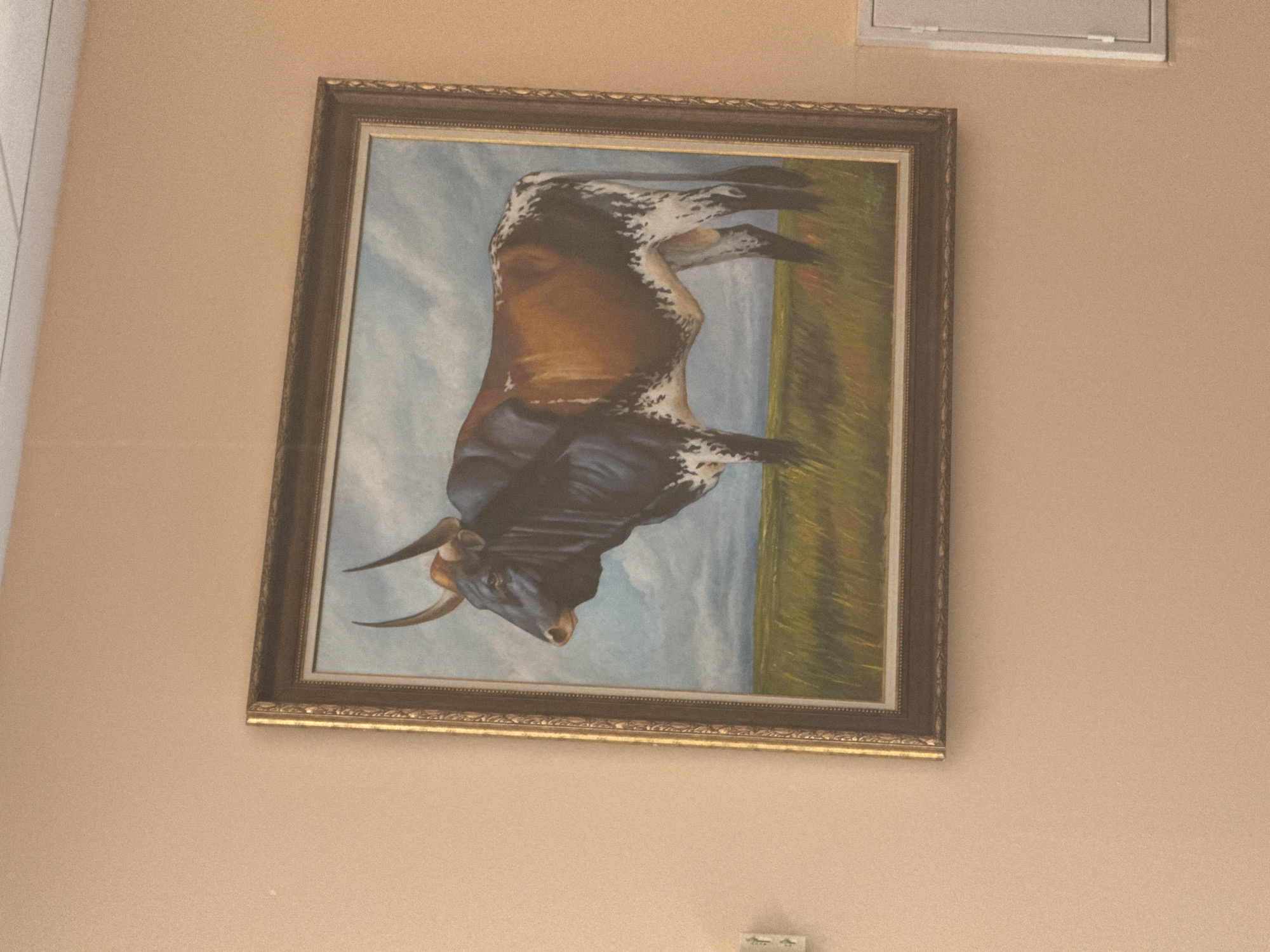 A framed painting of a bull hangs on a peach-colored wall. The painting is in a landscape format, with the bull positioned sideways against a backdrop of a blue sky on one side and a green field on the other. The frame is ornate, with gold and brown tones. Above the painting is a white rectangular vent cover. The painting is the central focus of the scene, which appears to be an interior setting. The painting appears to be located on a wall somewhere in Sofia, Bulgaria.