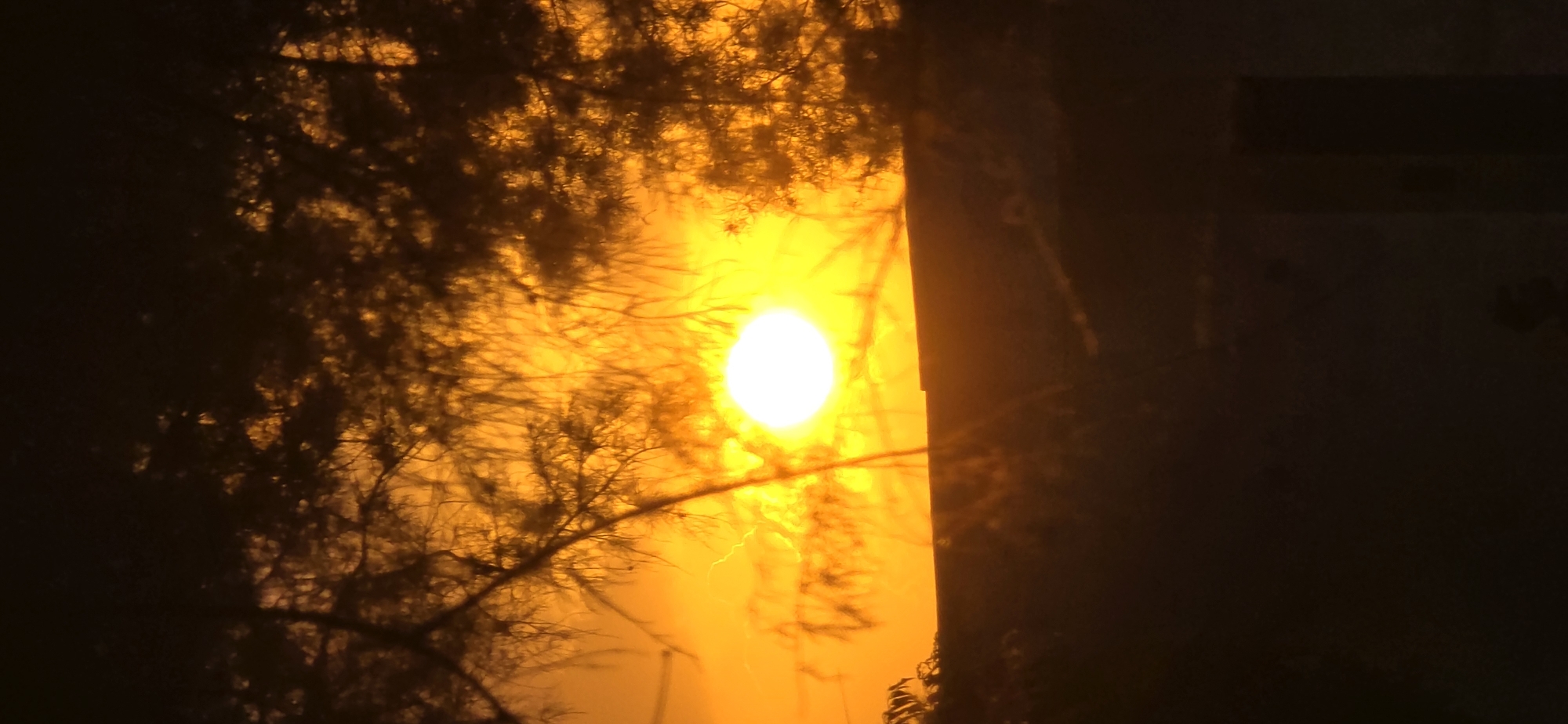 The image depicts a sunset over Tel Aviv, Israel, as viewed through the branches of trees. The sun, a bright, glowing orb, is positioned in the center of the frame, casting an intense orange and yellow light across the sky. The surrounding foliage is silhouetted against the vibrant sky, creating a dramatic contrast between light and shadow. In the foreground, a dark, indistinct landscape suggests the presence of buildings or structures in the city. The overall impression is one of a serene and beautiful natural phenomenon occurring within an urban environment.