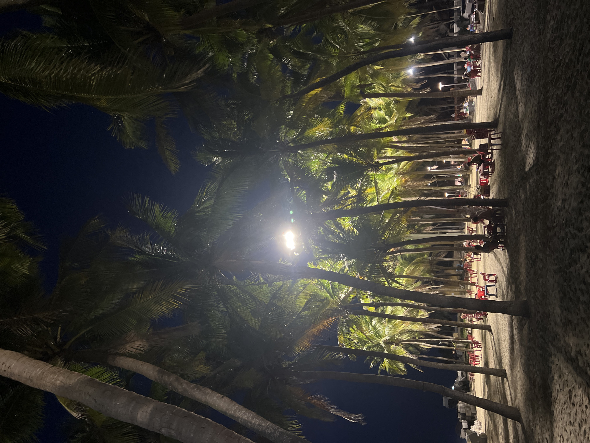 This is a nighttime, medium-shot, eye-level photograph taken in Hoi An, Vietnam, likely at a beachside restaurant or bar. The scene is dominated by numerous tall palm trees, their fronds and trunks illuminated by overhead lights, casting long shadows on the sandy ground. The sky is dark blue, indicating it is nighttime.
In the foreground, the sand is the primary ground cover, with footprints visible. Several clusters of red plastic tables and chairs are arranged on the sand, suggesting an outdoor dining or seating area. Some of these tables are occupied by people, though their features are not clearly discernible due to the low light and distance. One person wearing a red shirt is seated at a table in the middle ground.
Further into the scene, more palm trees continue to form a dense grove. Additional tables and chairs are scattered throughout, with more groups of people seated. Streetlights are visible in the background, providing additional illumination and highlighting the edges of the palm trees. To the far left, a low wall constructed of large concrete blocks is partially visible. The overall atmosphere is one of a relaxed, casual evening setting under the tropical night sky, with the lighting from the lamps creating a warm glow within the dark environment.