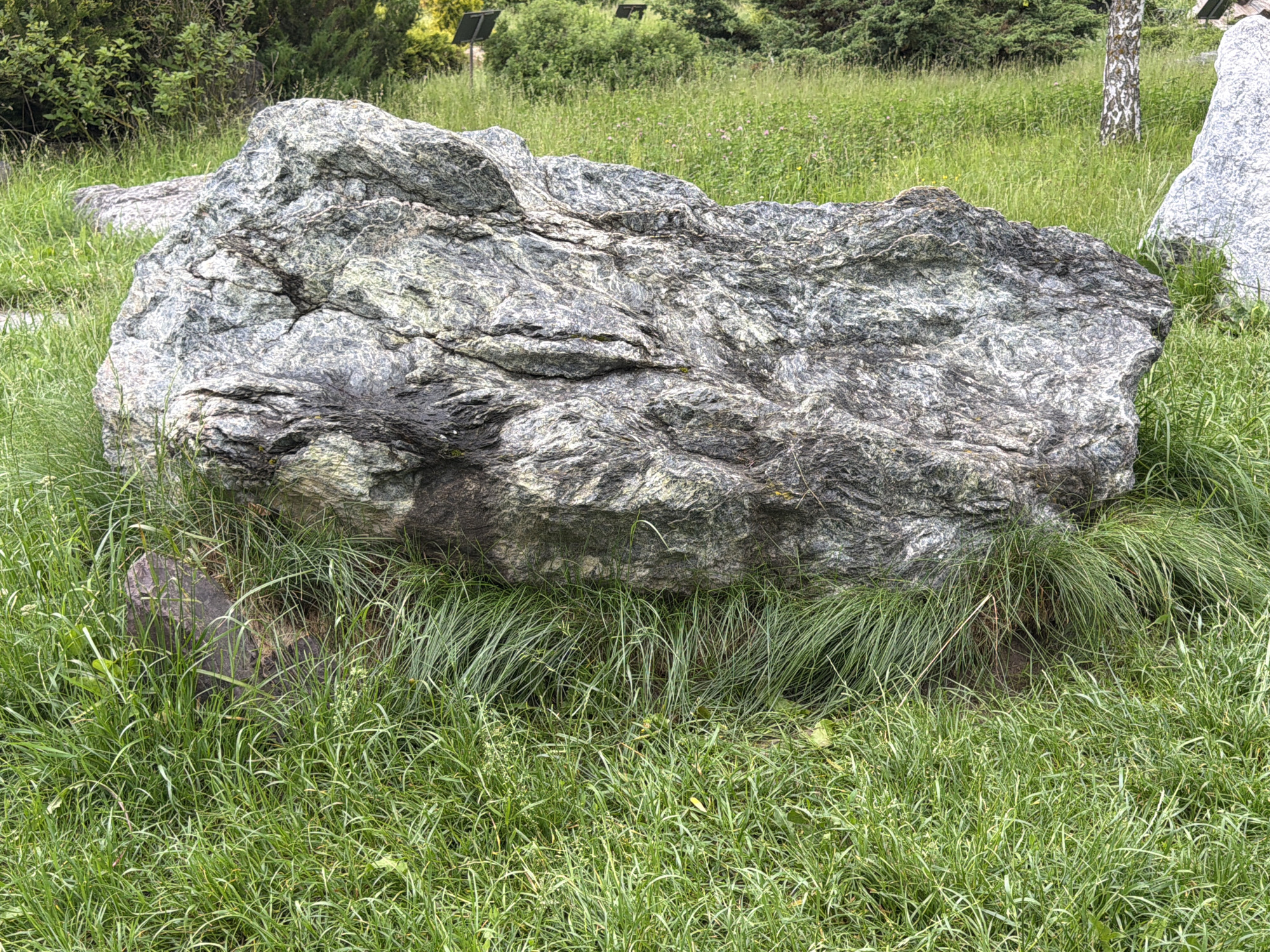 This media file depicts a large, rough, grey boulder situated in a grassy area. The boulder is the central subject, with its textured surface and irregular shape clearly visible. Surrounding the boulder is lush green grass, some of which is long and wispy, partially obscuring smaller rocks at the base of the main boulder. In the background, there are trees and foliage, creating a natural, outdoor setting. The lighting suggests it is daytime, and the overall impression is one of a peaceful, natural landscape. There is no visible text or discernable activity taking place; it is a still image of a geological formation within a verdant environment. The scene appears to be a park or a natural reserve, given the presence of what might be signage or decorative elements among the trees in the distance, partially obscured by vegetation.