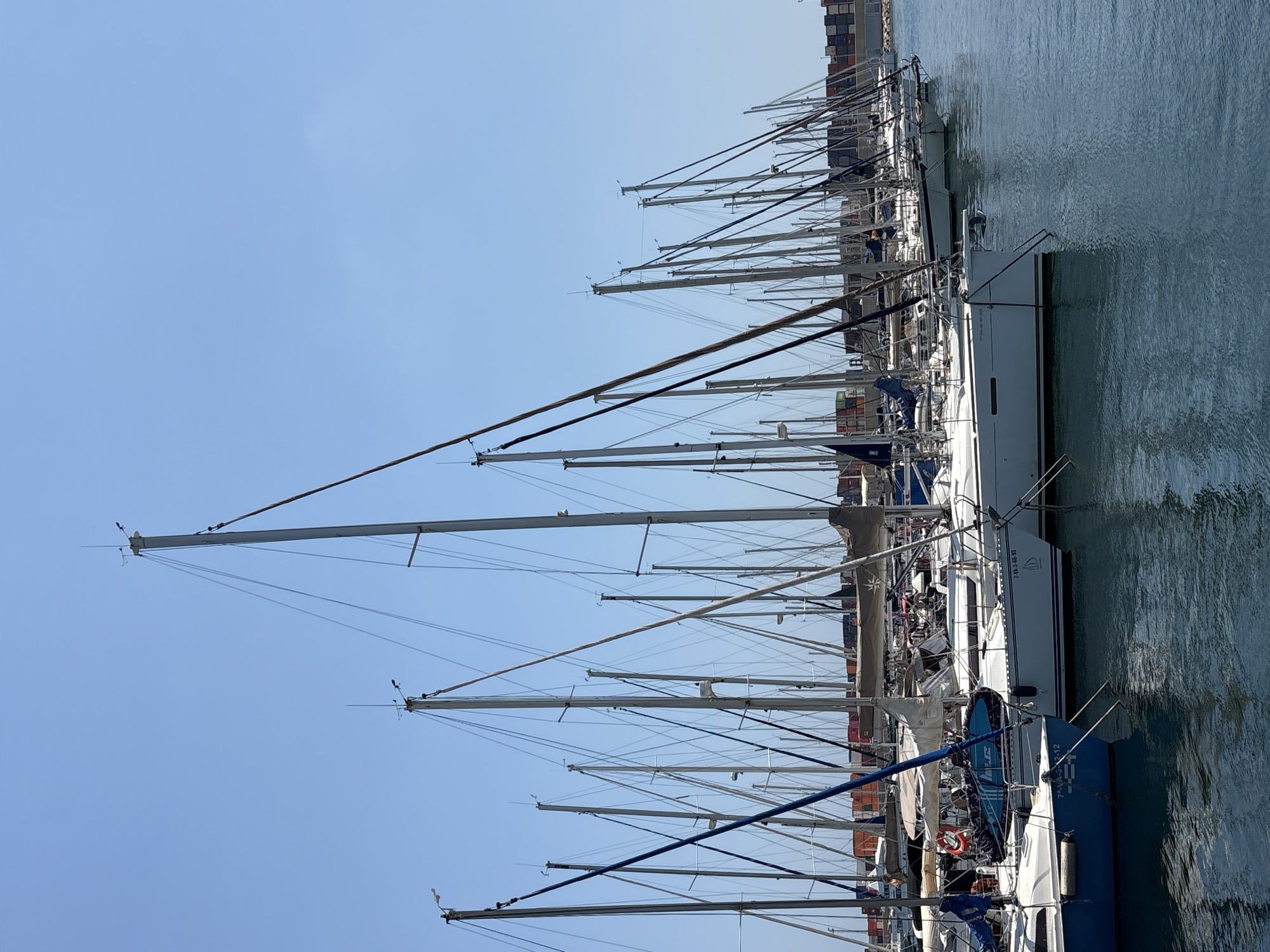 The image shows a marina filled with many sailboats docked in the water. The boats are aligned next to each other, with their masts reaching high into the clear blue sky. The water is calm and reflects the sky and the boats. In the background, there are some buildings and what appear to be cargo containers, suggesting a port area. A few people are visible on the decks of some of the boats. The scene appears to be set in Valencia, Spain, on a sunny day, likely in the late morning or early afternoon given the bright sunlight and clear sky. The overall atmosphere is peaceful and serene, indicative of a calm day at the harbor. Some text is visible on the side of one of the boats, appearing to be registration numbers or names, such as "77-VA-2-02 03 91" and "77-VA-2-02 12".
