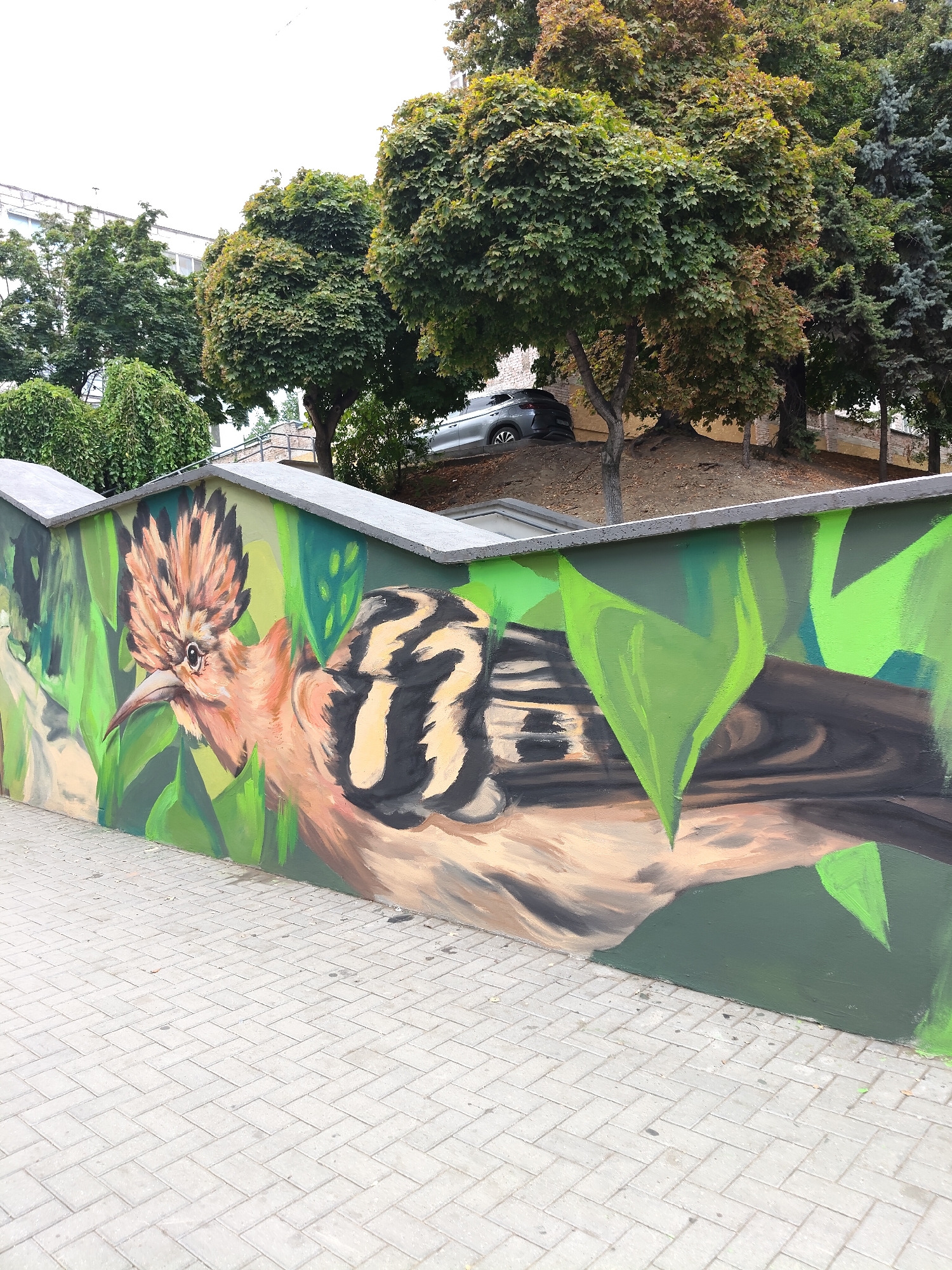 This is a detailed photograph of a mural painted on a concrete wall in Chișinău, Moldova. The mural depicts a large, stylized bird, likely a hoopoe, rendered in vibrant colors. The bird is shown from the chest up, with its distinctive crest prominently displayed. Its plumage features stripes of black, white, and beige, contrasting with its peachy-orange chest and head. The bird is surrounded by large, abstract green leaves, creating a jungle-like or garden setting. The painting style is impressionistic, with visible brushstrokes adding texture.
The wall itself appears to be a low boundary wall, topped with a concrete coping. To the right of the mural, a paved walkway made of interlocking rectangular gray pavers is visible, indicating it is likely a public space, possibly a sidewalk or pedestrian area. Behind the wall, there is an elevated embankment with trees and shrubs. In the background, a grey car is partially visible parked on the embankment, suggesting the presence of roads or parking areas nearby. The upper portion of the image shows a bright, overcast sky and the tops of more trees and buildings, characteristic of an urban environment. The overall scene suggests an artistic beautification project in a city park, along a street, or in a residential area.