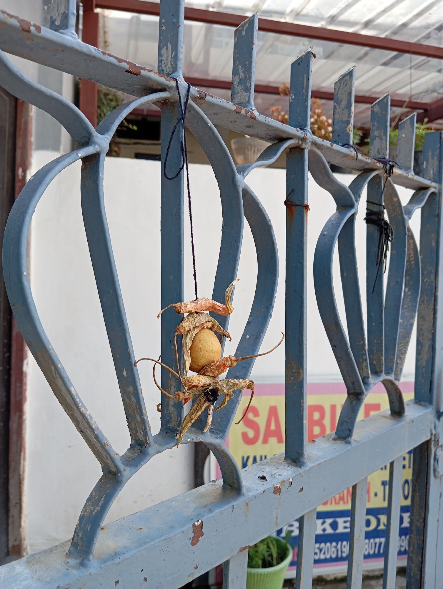An egg-shaped object, possibly a potato, is suspended by a dark string from the top of a weathered, blue metal gate. Dried chilies or peppers are attached to the object. The gate has a repeating decorative pattern of stylized heart shapes. Patches of rust are visible on the gate's surface. In the background, a building with a sign bearing the words "SA BI" and telephone numbers is visible. A green plastic pot containing plants is at the base of the gate. The location is Jonk, India.