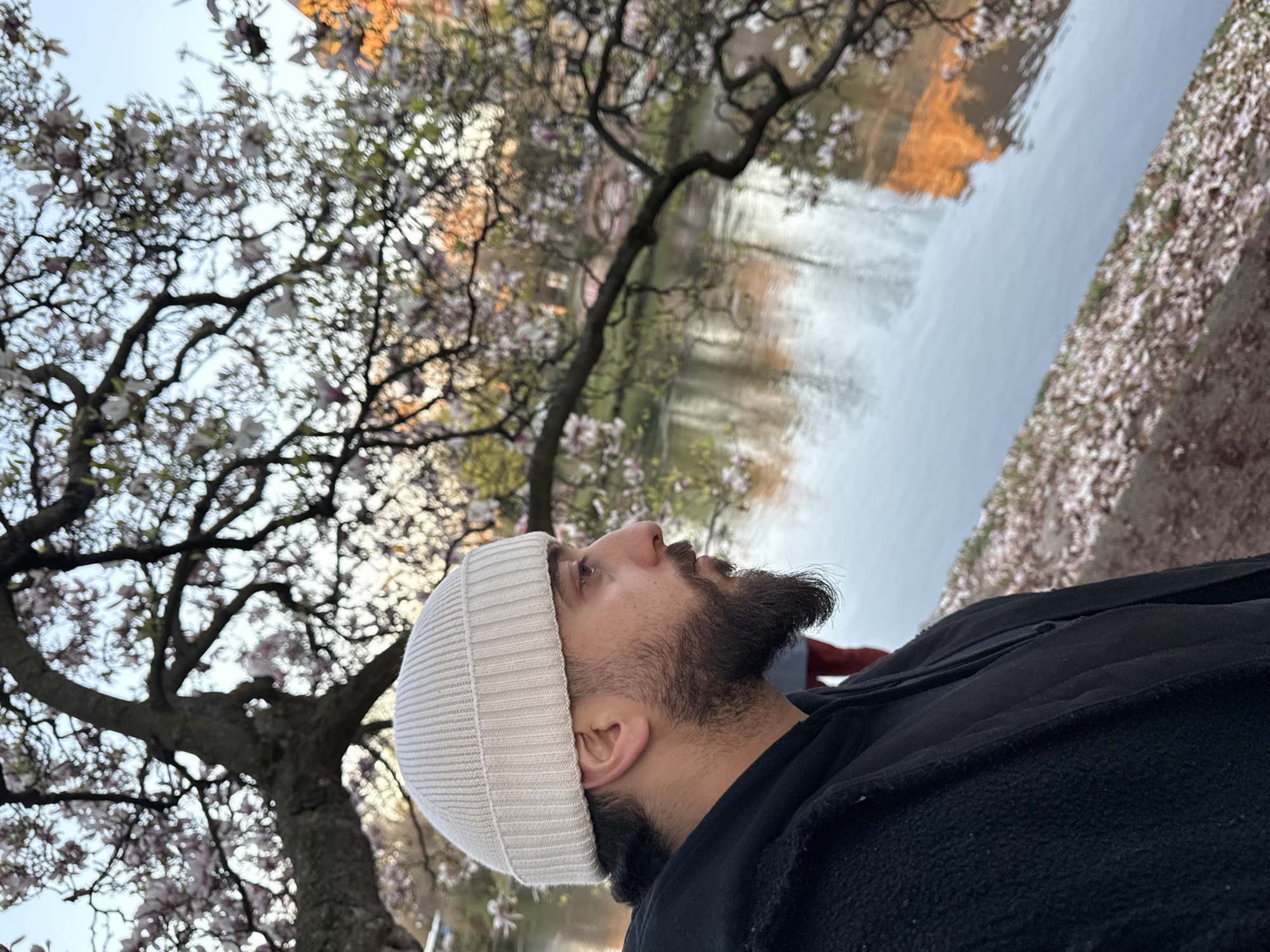 A male individual is depicted in profile, facing right, from the chest up. He wears a light beige ribbed knit beanie, a dark beard, and a mustache. His attire consists of a black hoodie layered under a black textured fleece jacket. He stands on a bank adjacent to a body of water. The ground in the foreground is covered with scattered light-colored petals. A large tree with numerous light pink and white blossoms, characteristic of a magnolia, extends across the upper and middle sections of the image, partially obscuring the background. The water reflects a distinctive orange-hued structure, indicative of Strasbourg's red sandstone architecture, along with the sky. A blurry figure in red pants is partially visible on the far bank of the water. The scene takes place along a canal or river within the city of Strasbourg, France, likely during springtime given the blossoms.