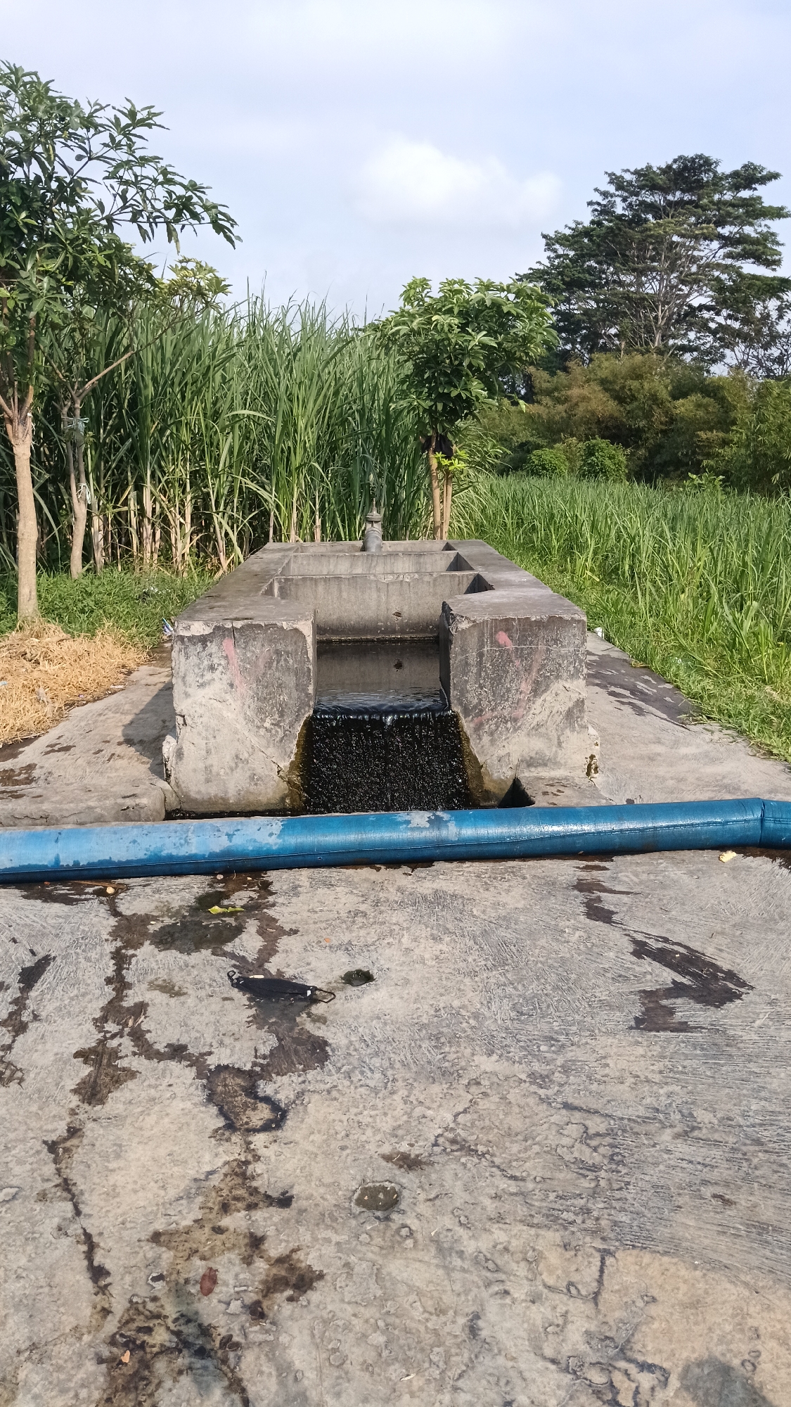 In the city of Cendono, Indonesia, a concrete structure with a faucet is located outdoors. The structure has water flowing from it into a lower section, where it cascades over a dark, textured surface. A large blue pipe runs horizontally across the foreground of the image, in front of the concrete structure. The ground in front of the structure is concrete and appears wet and stained in places. Behind the concrete structure, tall green reeds or grass are visible, along with some trees and foliage. The sky above is partly cloudy.