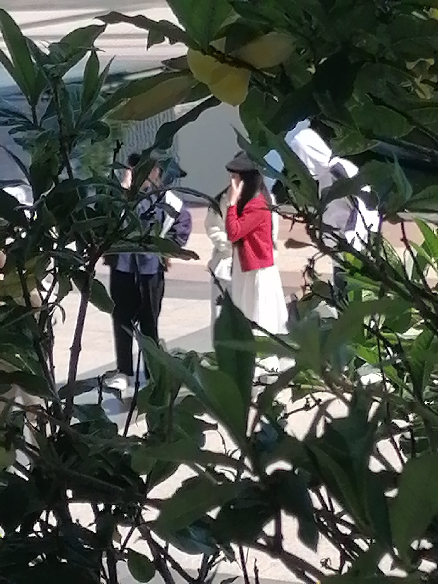 A group of people are visible in an outdoor setting, partially obscured by foliage. In the foreground, green leaves and branches create a natural frame. Behind the foliage, three individuals are standing on a paved surface. One person, wearing a black hat, red jacket, and white dress, stands in the center, with their right hand touching their face. To their left, a person in a dark blue outfit with black pants and white shoes stands, facing away from the camera. To the right of the central figure, another individual is partially visible, wearing white clothing and a patterned jacket. The background appears to be a walkway or plaza, with dappled sunlight casting shadows. The environment suggests a public space like a park or a university campus.