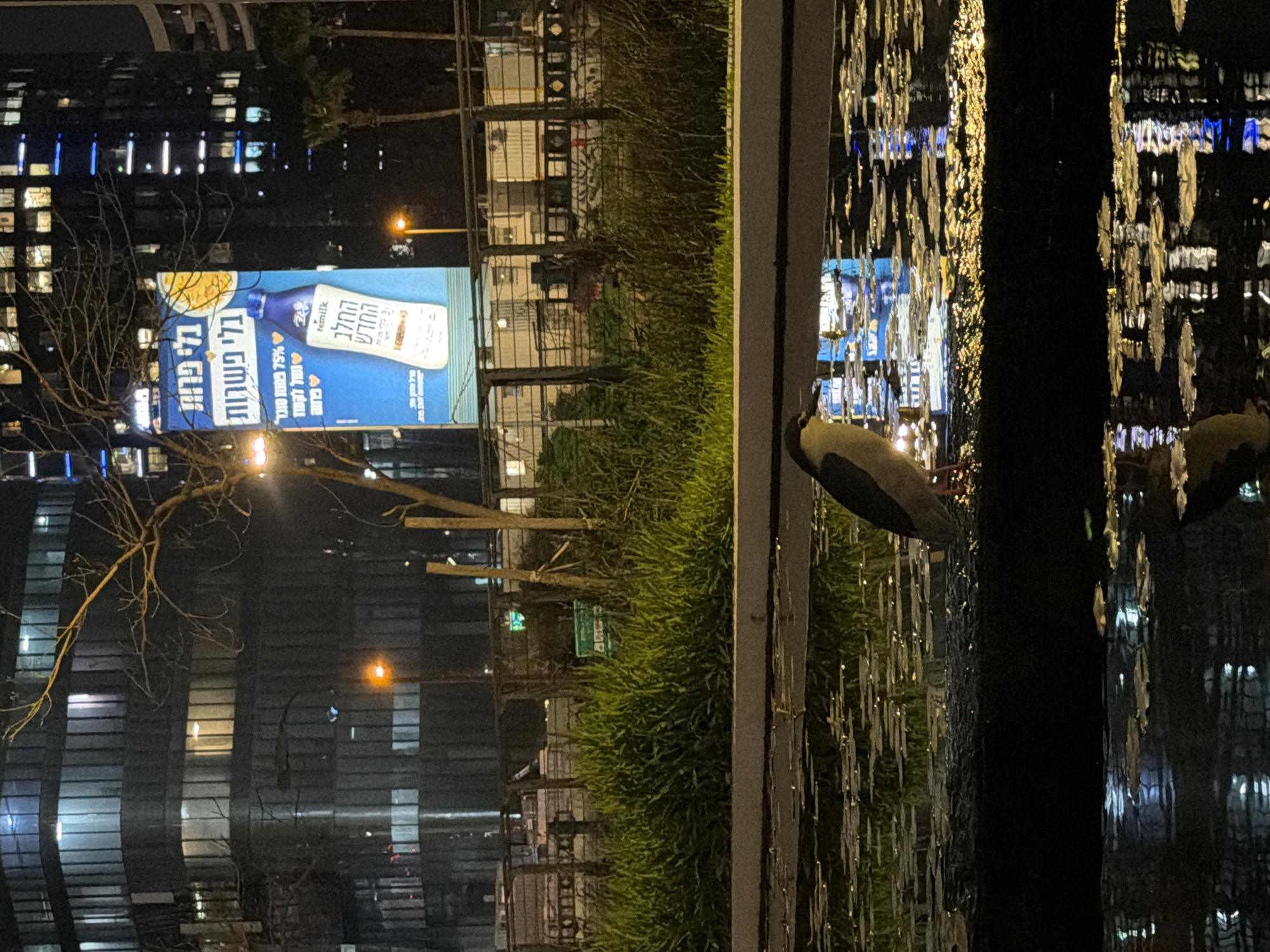 Here is a description of the image:
The image depicts a nighttime scene in Tel Aviv, Israel, featuring a billboard advertisement and a Black-crowned Night Heron perched on a ledge, reflected in the water. The billboard, displaying an ad for "remilk" a milk alternative, is positioned against the backdrop of an office building. The foreground features the Black-crowned Night Heron at the edge of a water feature, with the reflection of the advertisement, the building lights, and hanging light fixtures visible in the water. The environment includes greenery along the edge of the ledge and the cityscape in the background.
