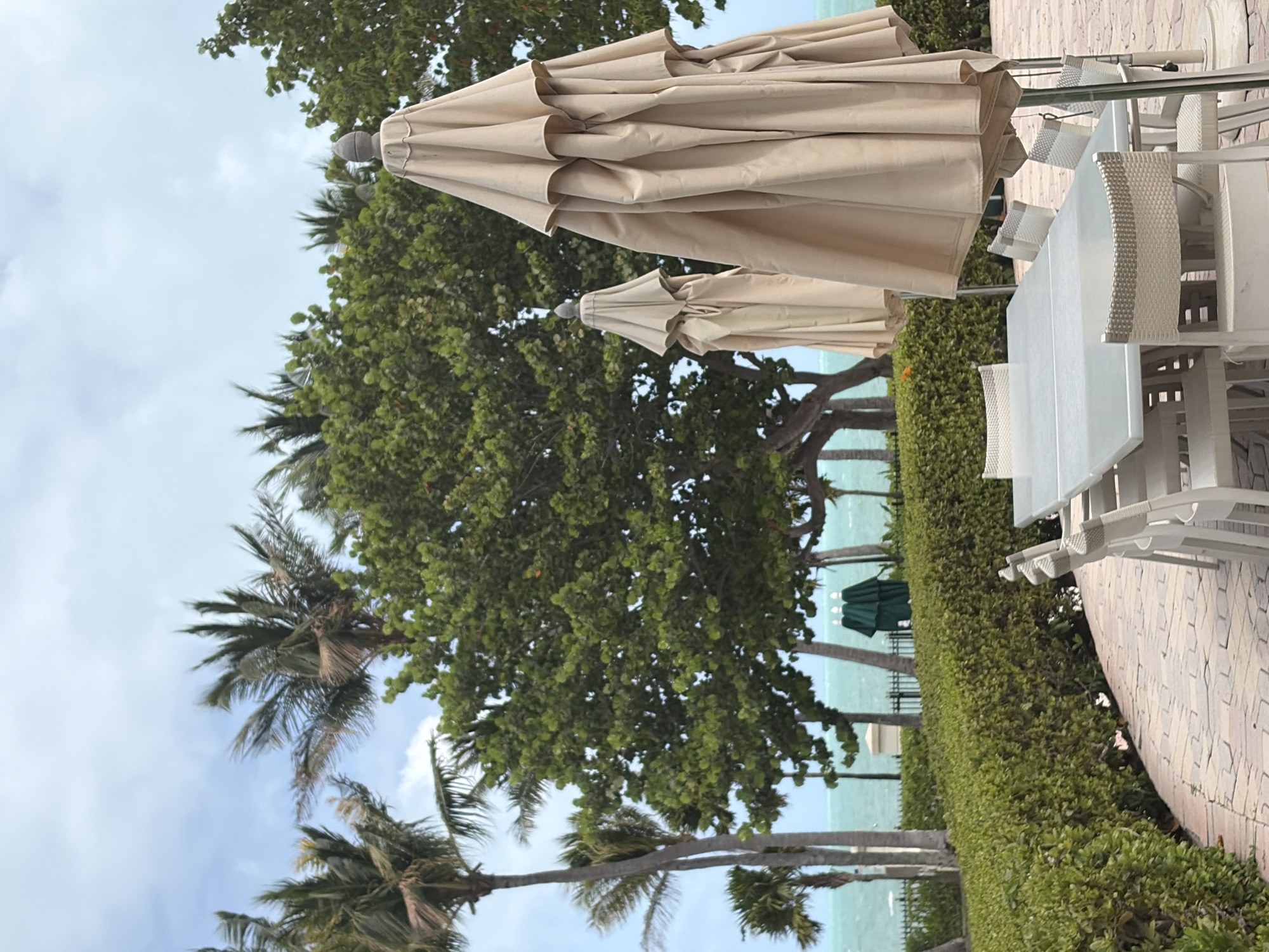 The scene depicts an outdoor dining area in Key Biscayne, United States of America. The dominant features are the tan-colored patio umbrellas, providing shade for the white tables and chairs arranged on a paved surface. Lush greenery, including manicured hedges and palm trees, separates the dining area from the ocean. The sky is partially visible through the trees, indicating a bright, possibly overcast day. In the distance, the ocean extends to the horizon. There are no visible people.
