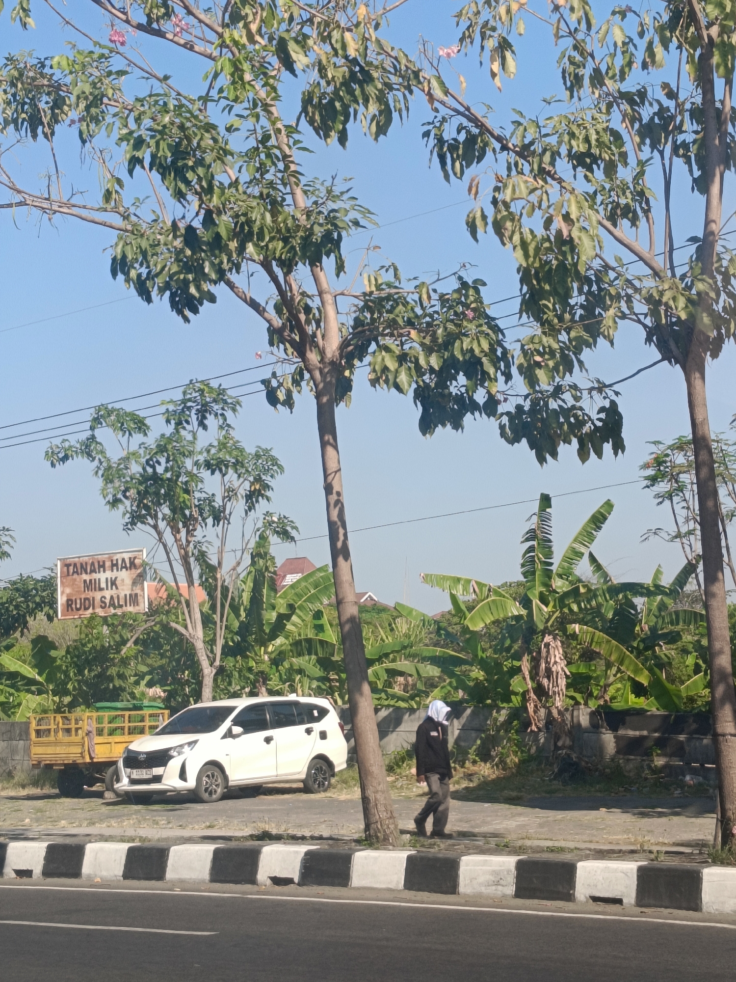 The image depicts a roadside scene in the city of Kembangan, Indonesia, on a clear, sunny day. In the foreground, a road with a distinctive black and white striped curb runs horizontally. To the left of the road, a sidewalk is visible, occupied by a person walking from right to left. This individual is wearing a dark jacket, dark pants, and a white headscarf.
Behind the sidewalk, a white car is parked. Further back, a yellow trailer truck is positioned. A sign with text in Indonesian, reading "TANAH HAK MILIK RUDI SALIM," is mounted on a wooden post. The background is filled with lush green vegetation, including banana trees, and some houses with tiled roofs can be seen. Power lines are strung across the sky. Several trees with green leaves are prominent in the mid-ground and foreground, their branches extending towards the top of the frame. The overall environment suggests a semi-urban or suburban area with a mix of residential and commercial elements.